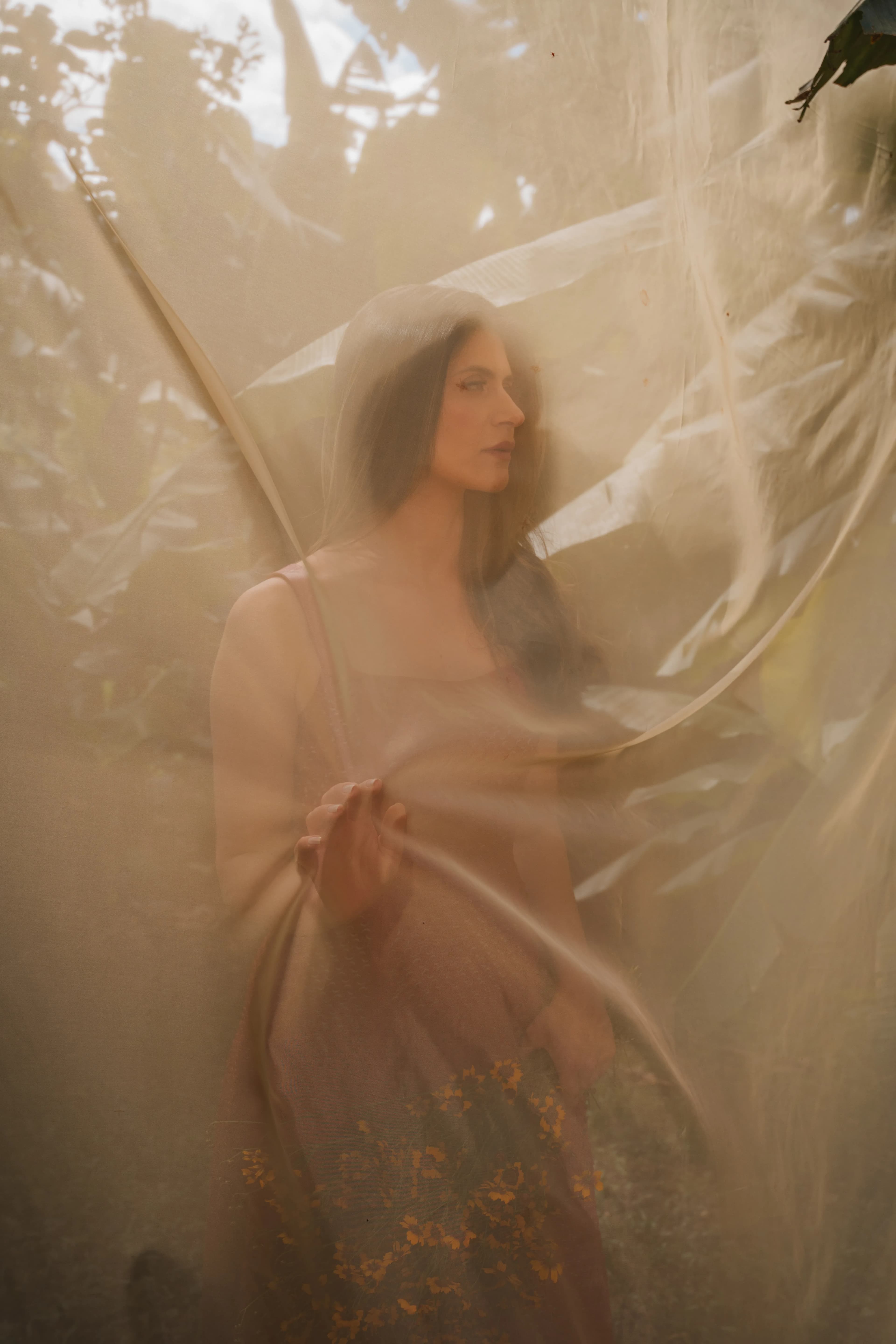 A. Estivanin Editorial gallery image 17 of 45