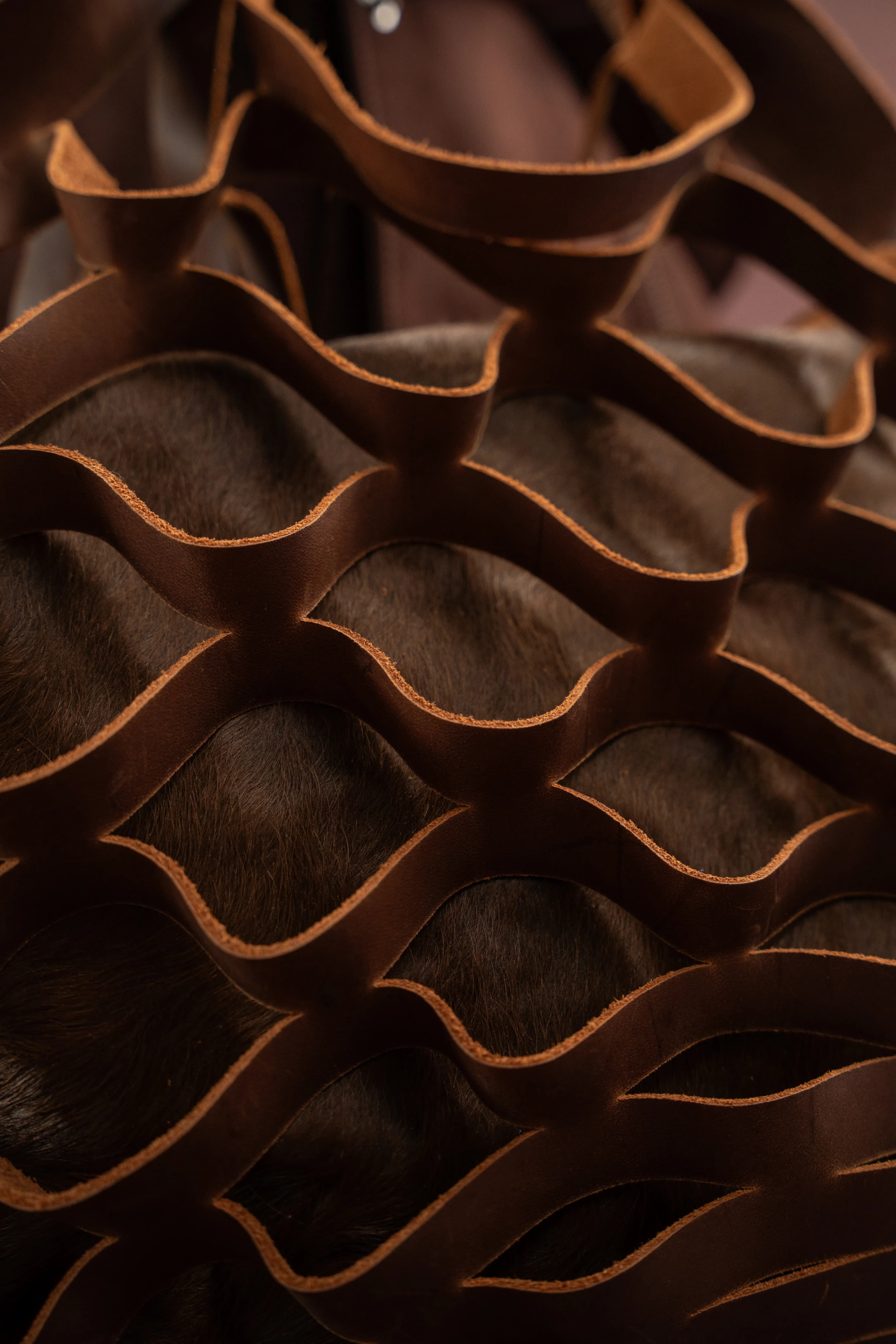 A. Estivanin Editorial gallery image 27 of 45