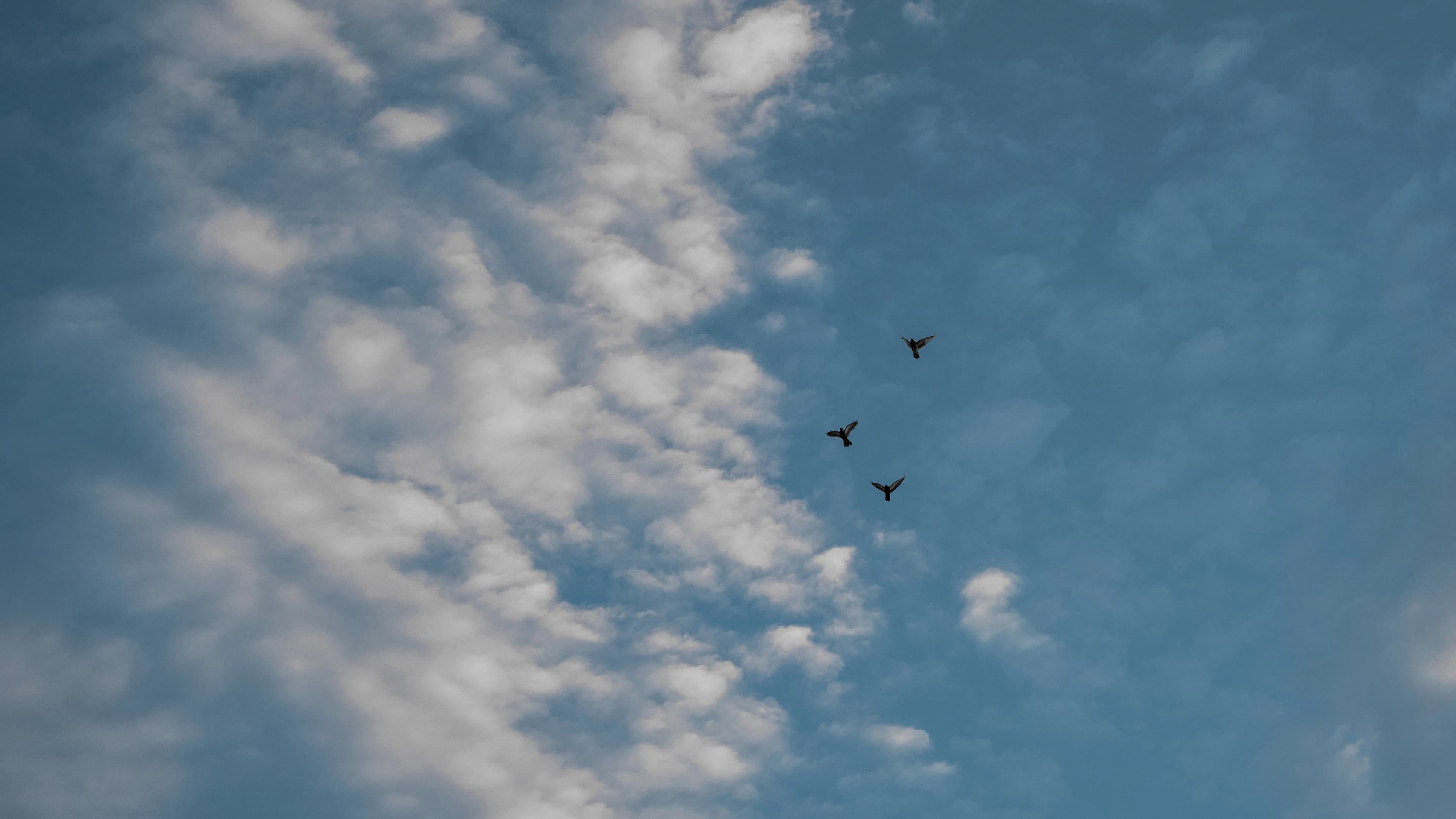 AION Coastal Retreat gallery image 3 of 23