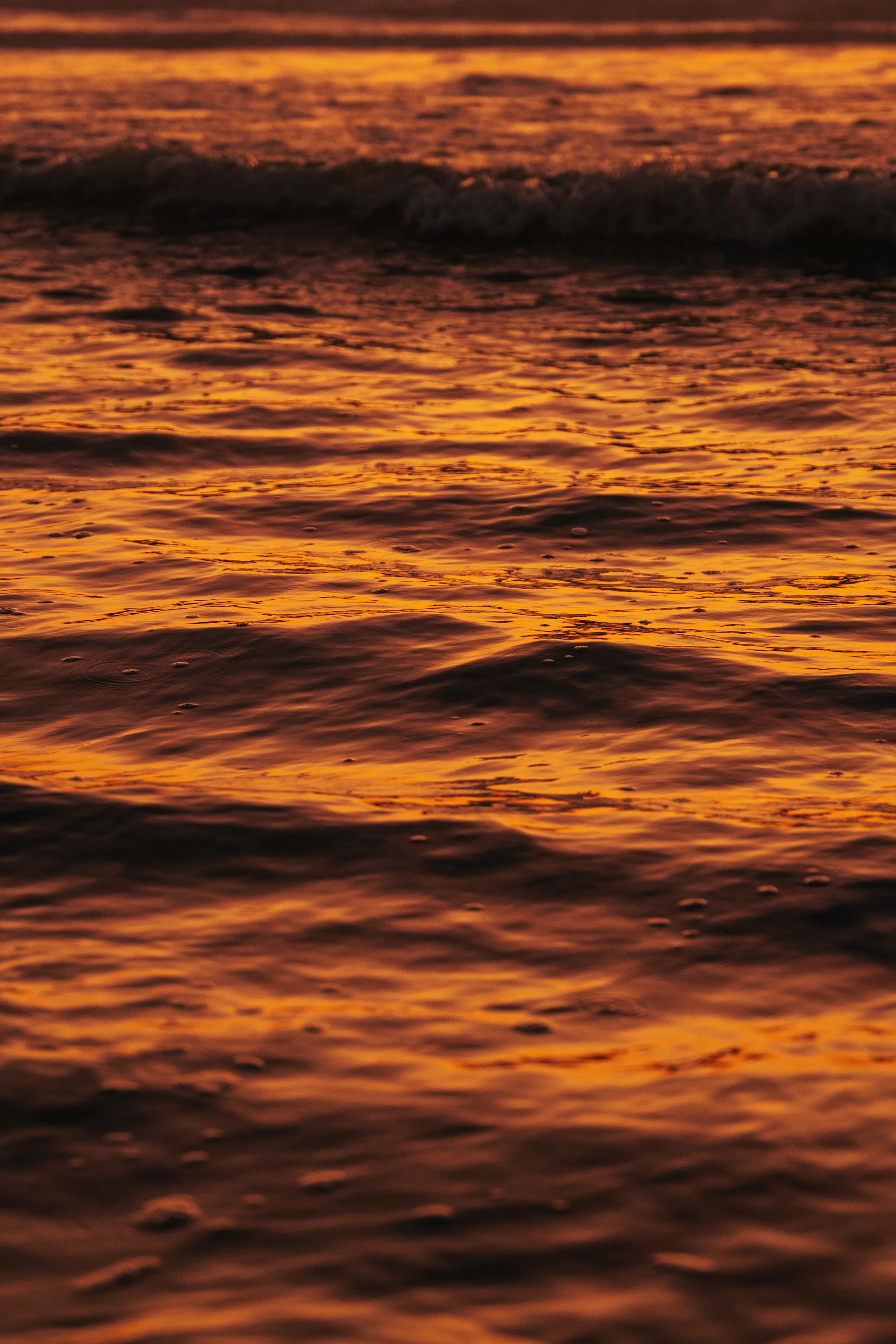 AION Coastal Retreat gallery image 5 of 23