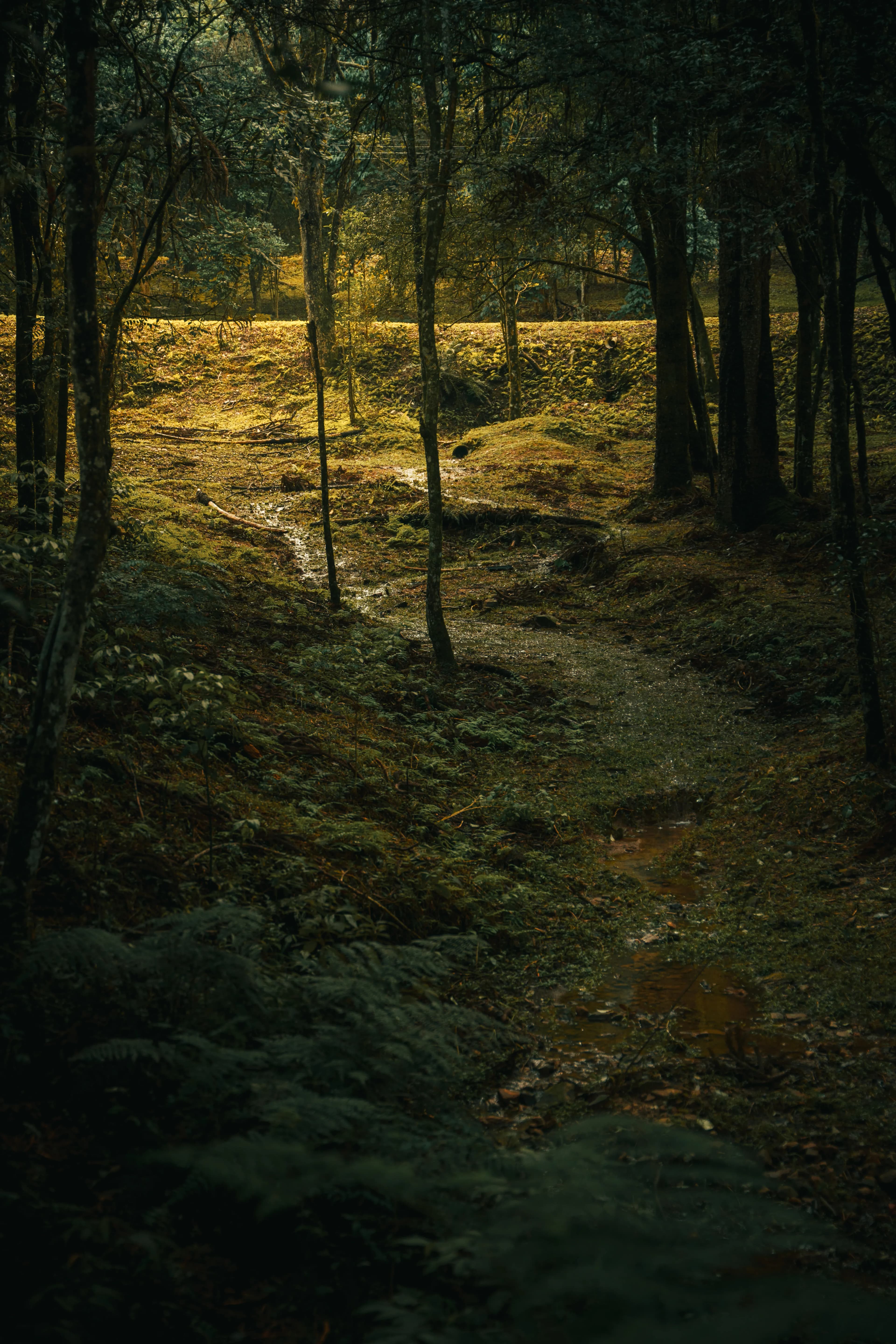 AION Coastal Retreat gallery image 9 of 23