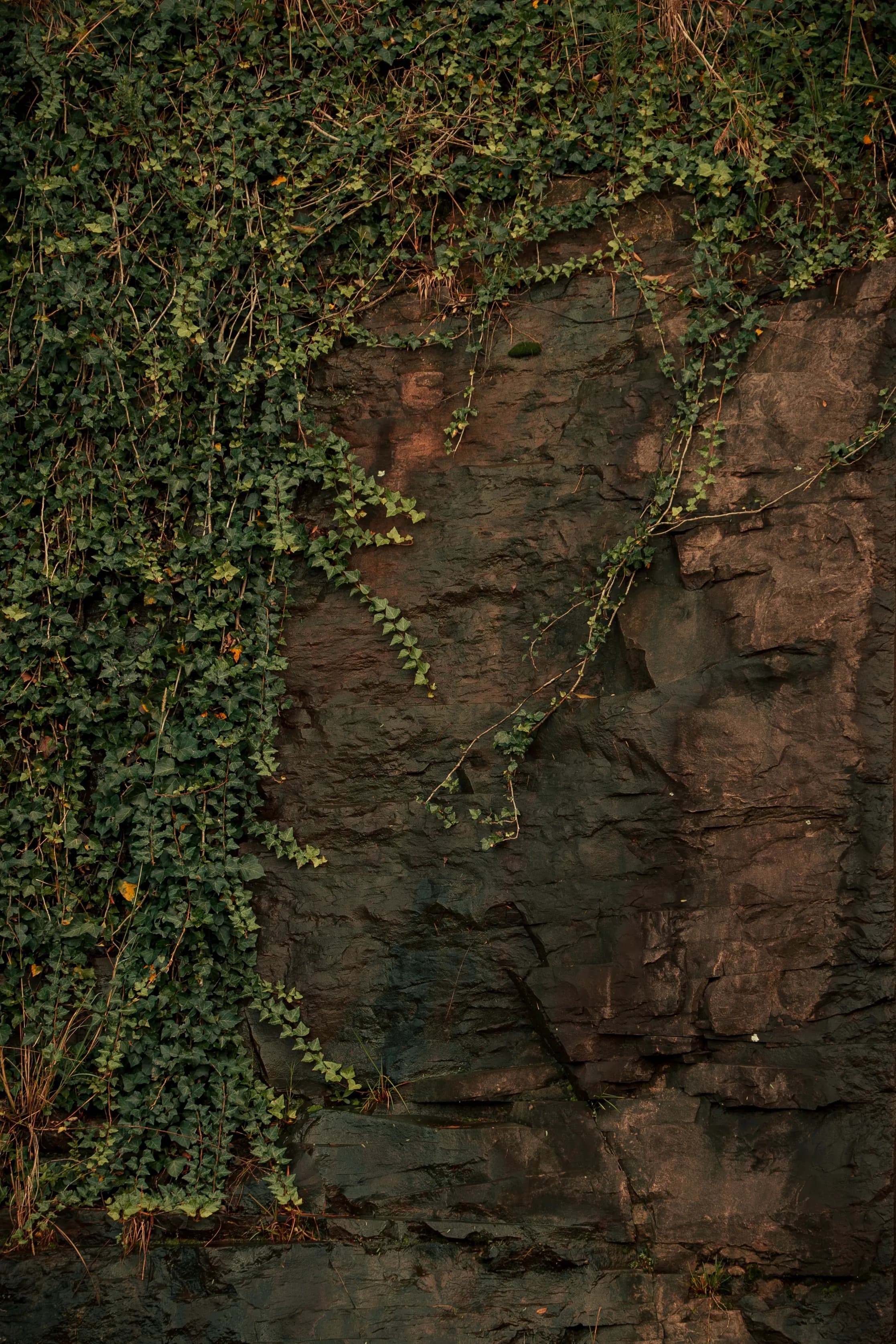 AION Coastal Retreat gallery image 10 of 23