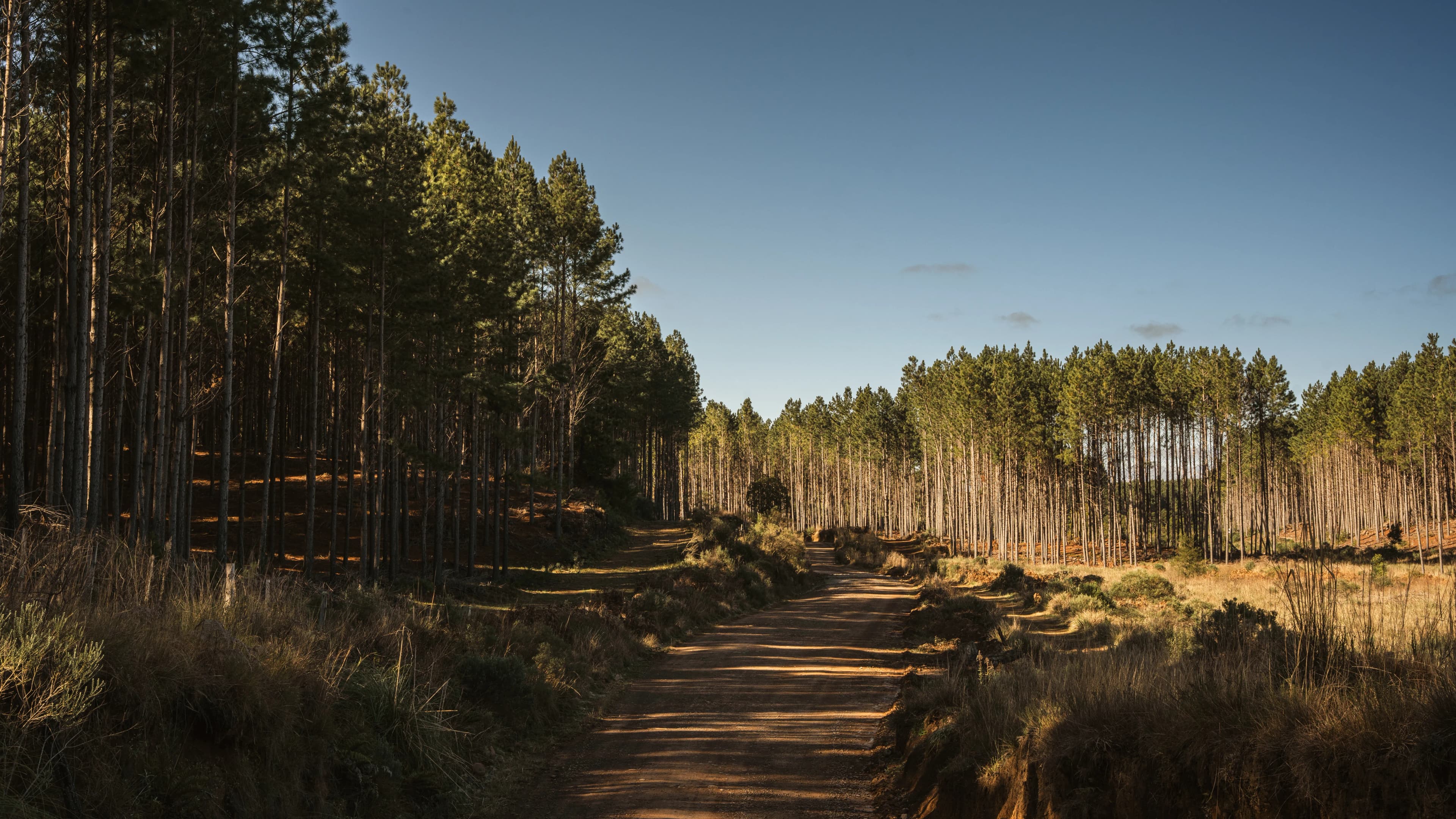 AION Coastal Retreat gallery image 14 of 23