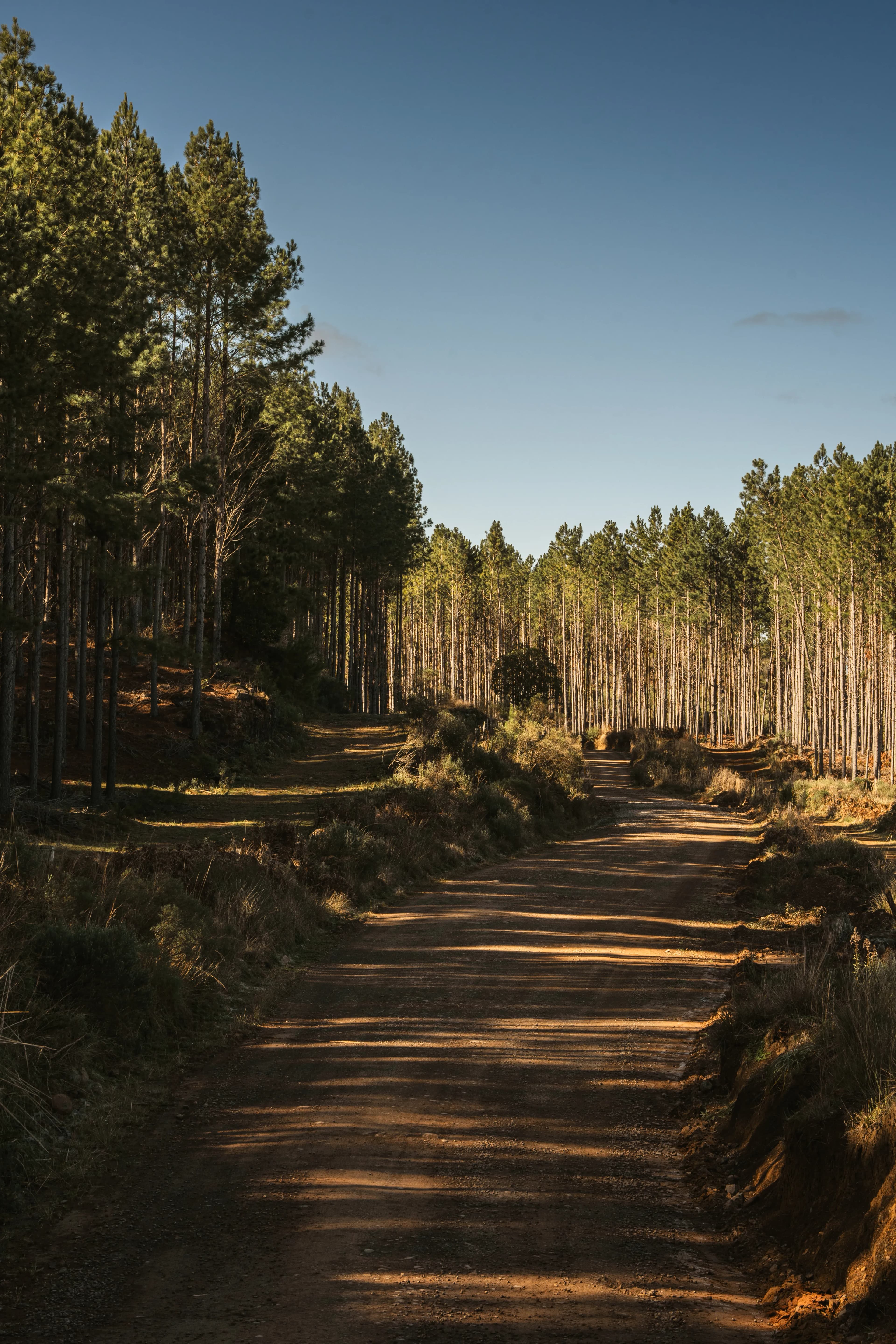 AION Coastal Retreat gallery image 15 of 23