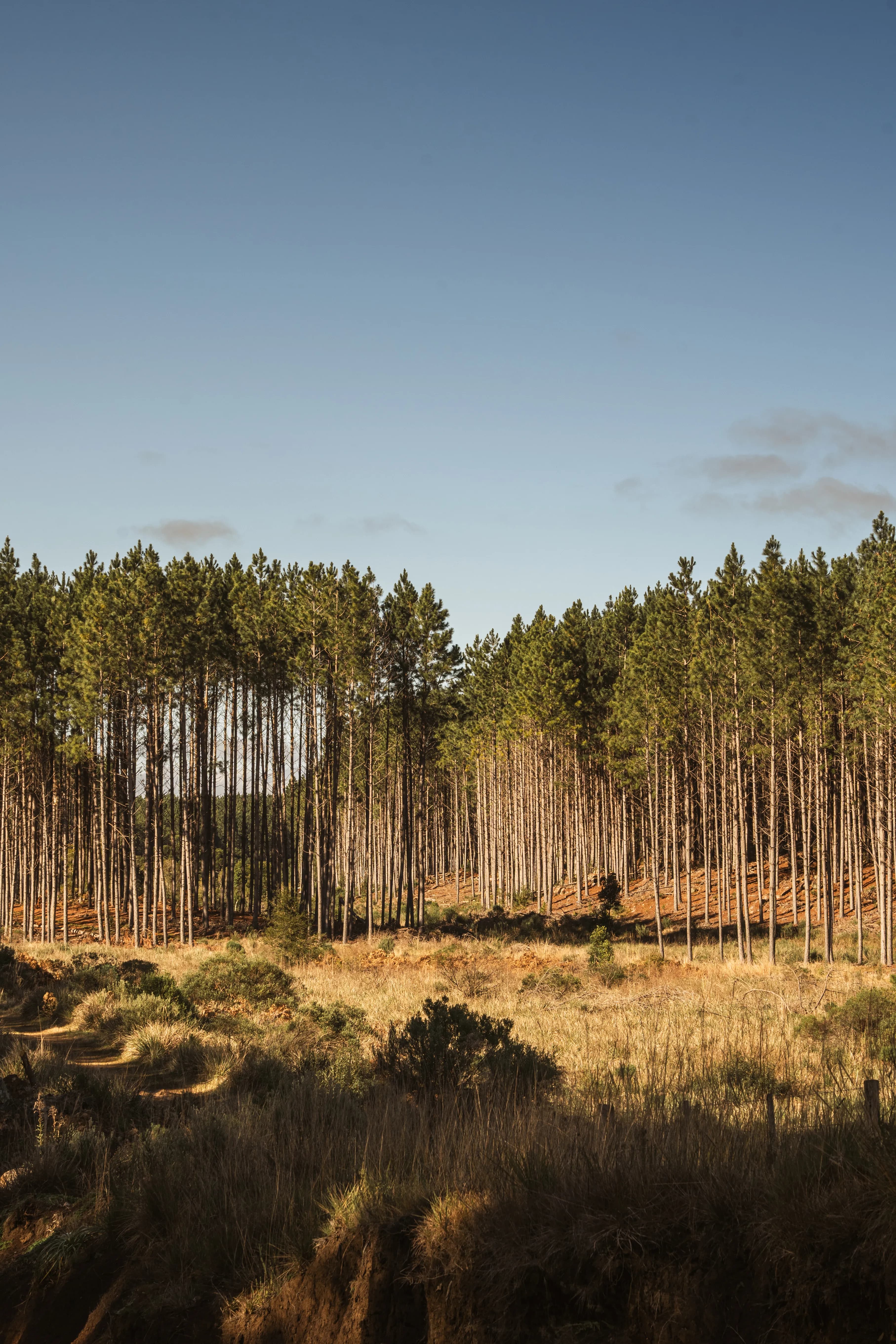 AION Coastal Retreat gallery image 16 of 23