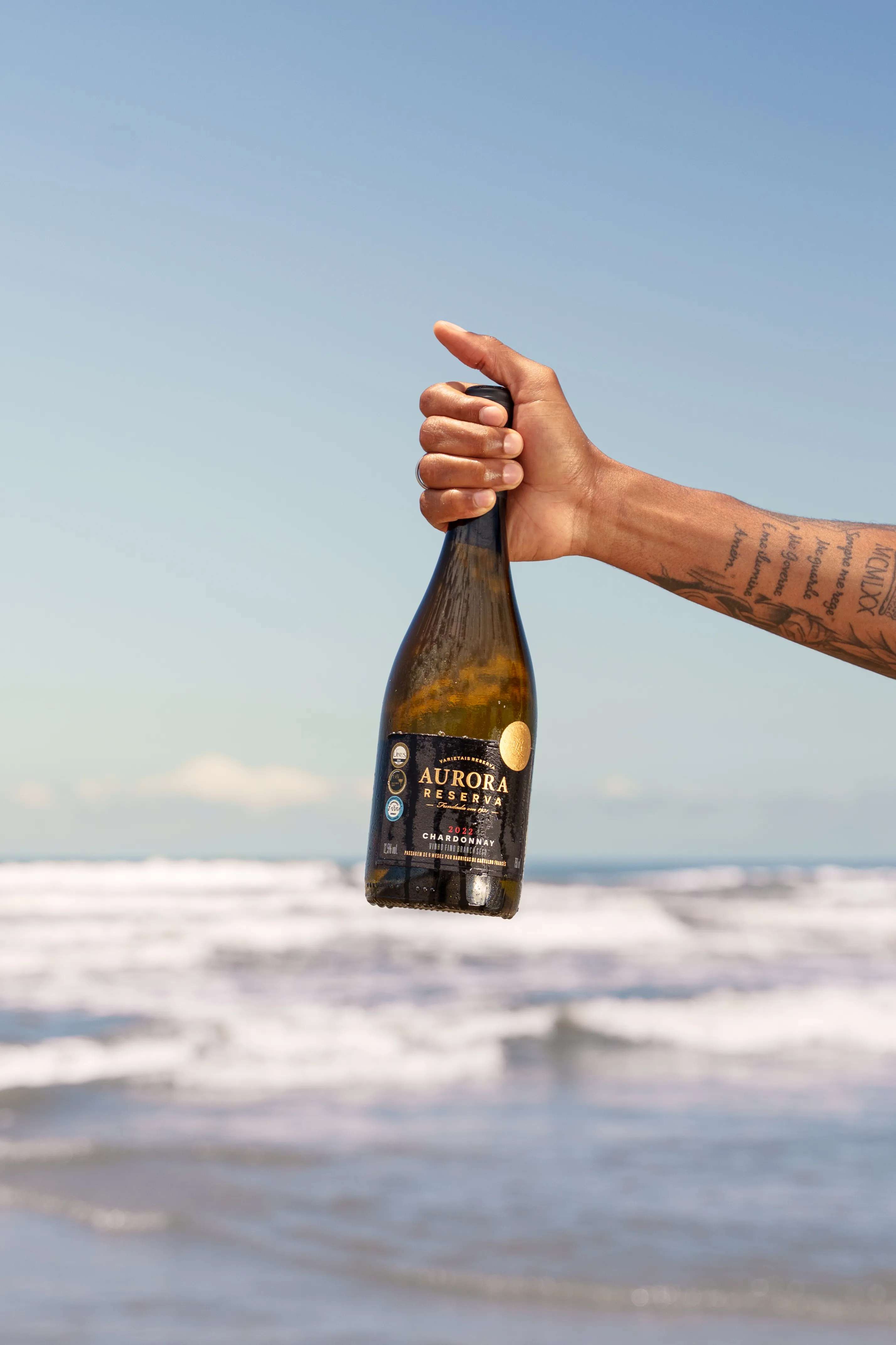 Aurora Selecao gallery image 28 of 54