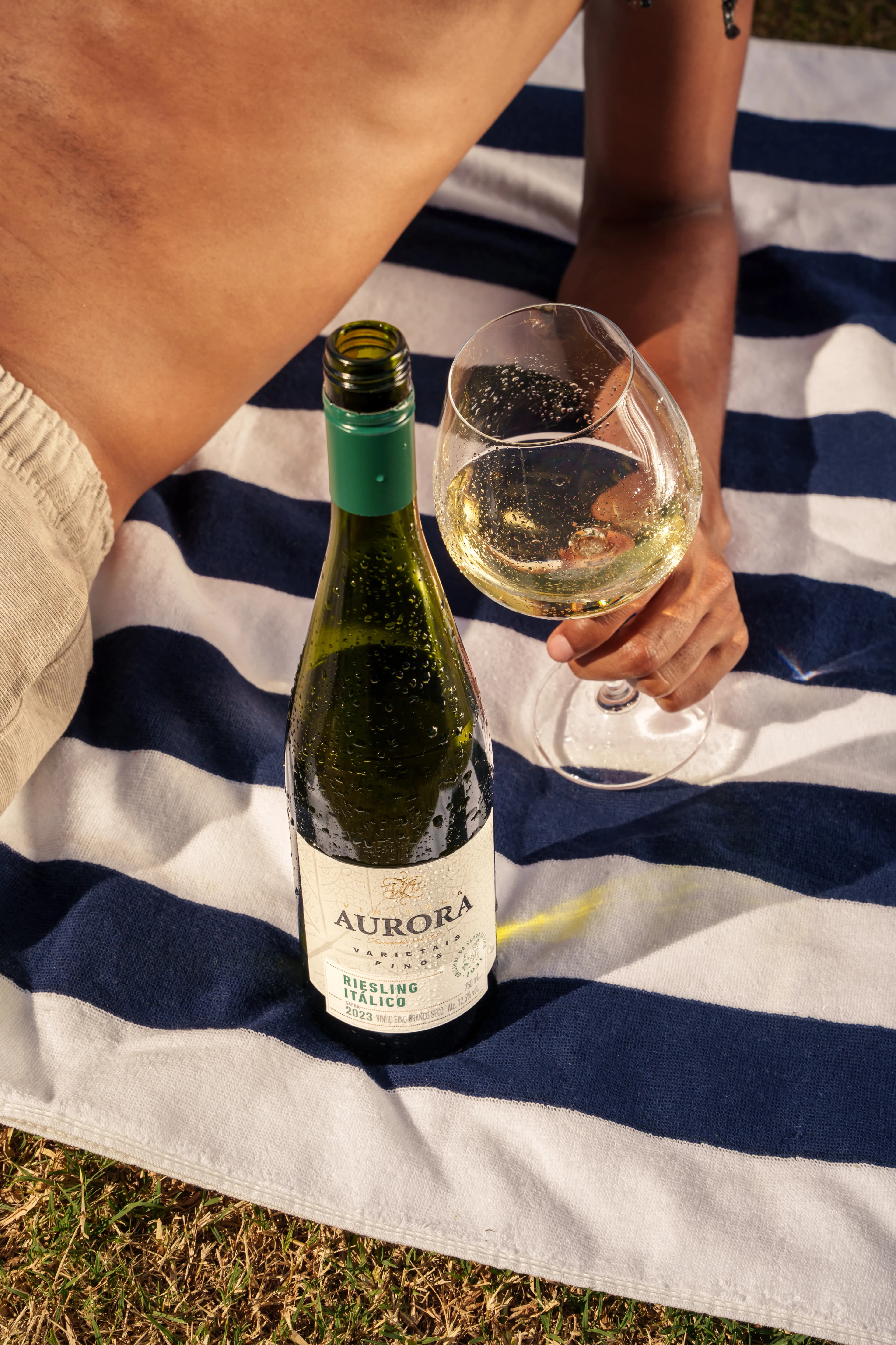 Aurora Selecao gallery image 37 of 54