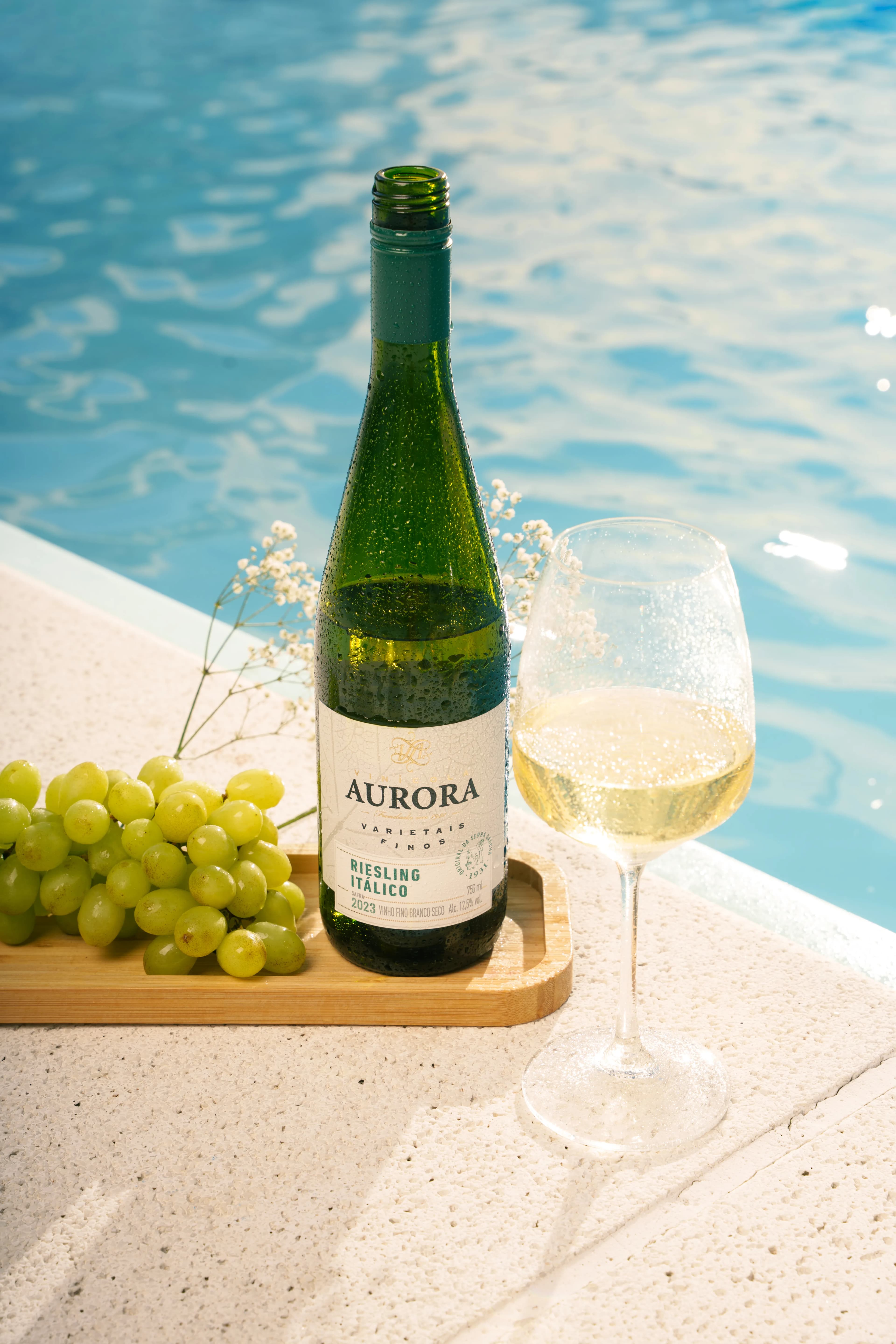 Aurora Selecao gallery image 39 of 54