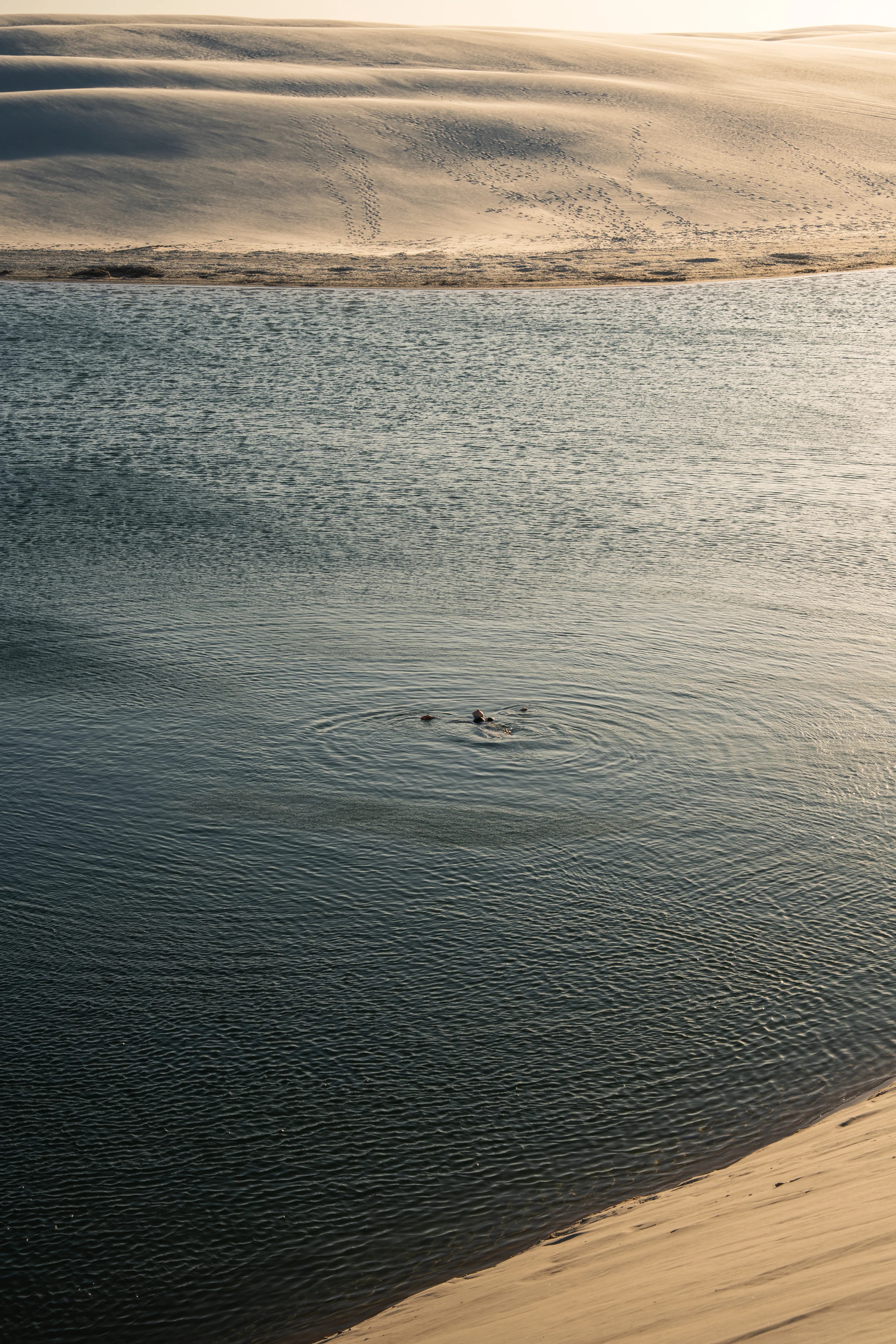 Lencois Maranhenses gallery image 7 of 93