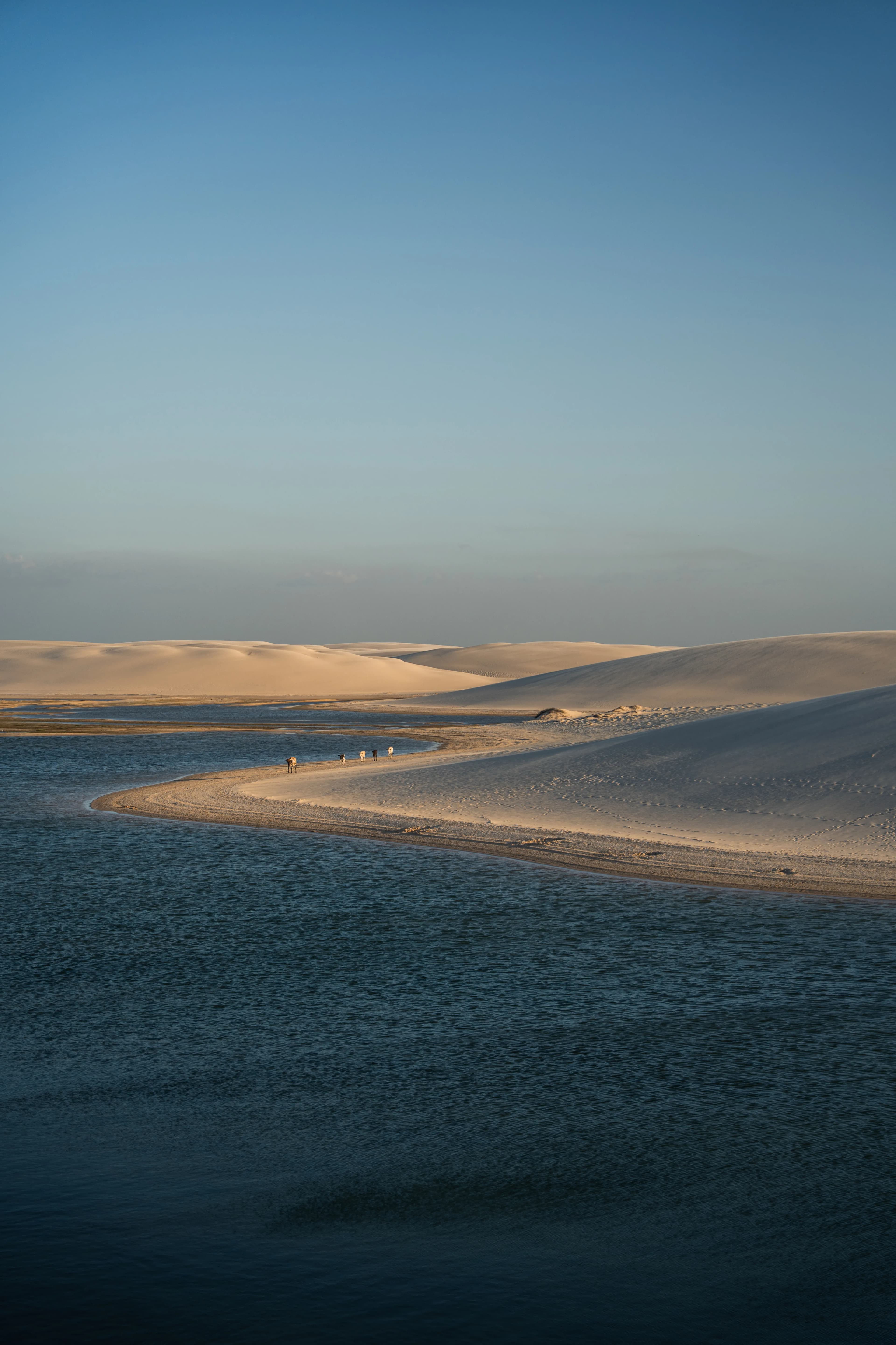Lencois Maranhenses gallery image 13 of 93