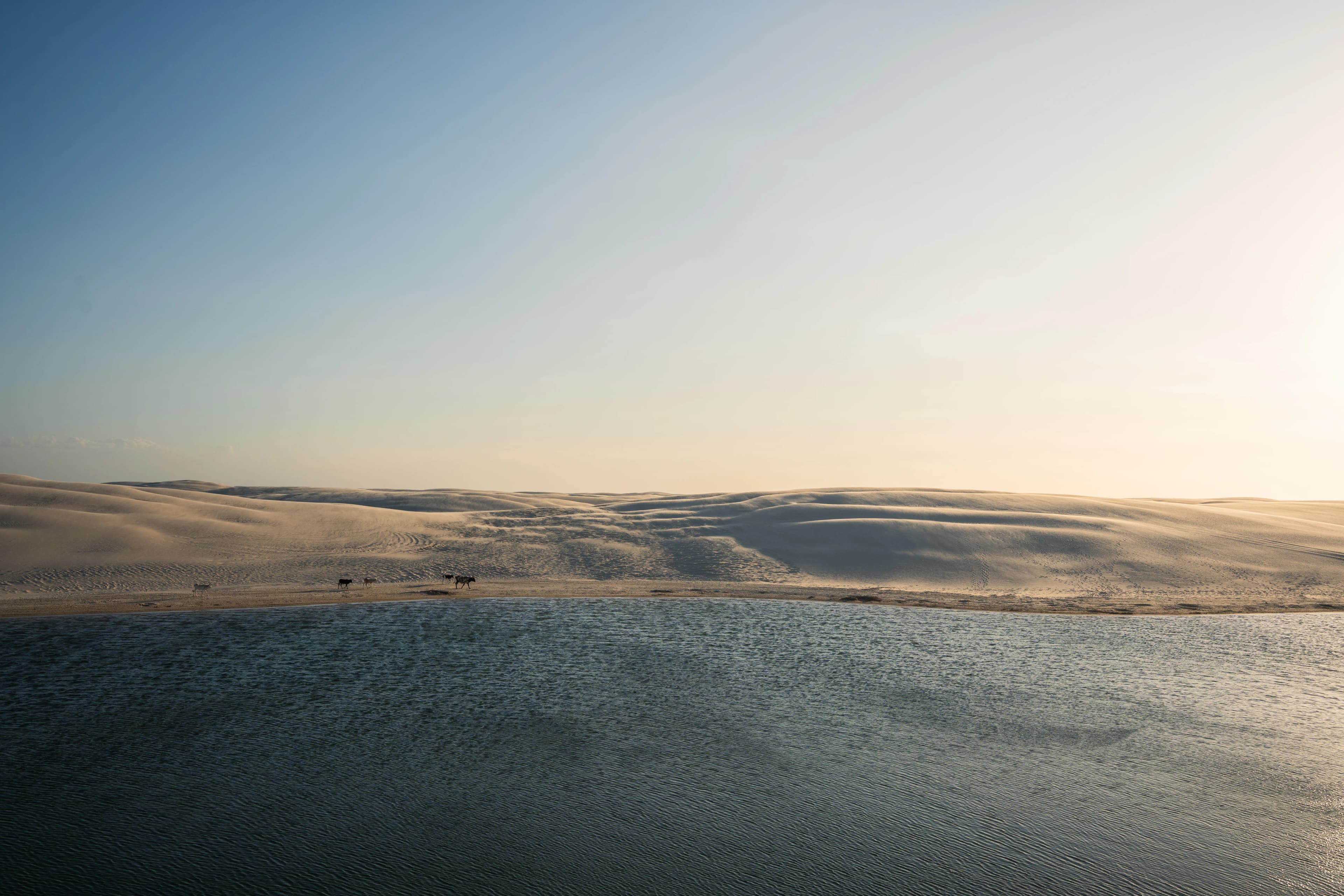 Lencois Maranhenses gallery image 14 of 93