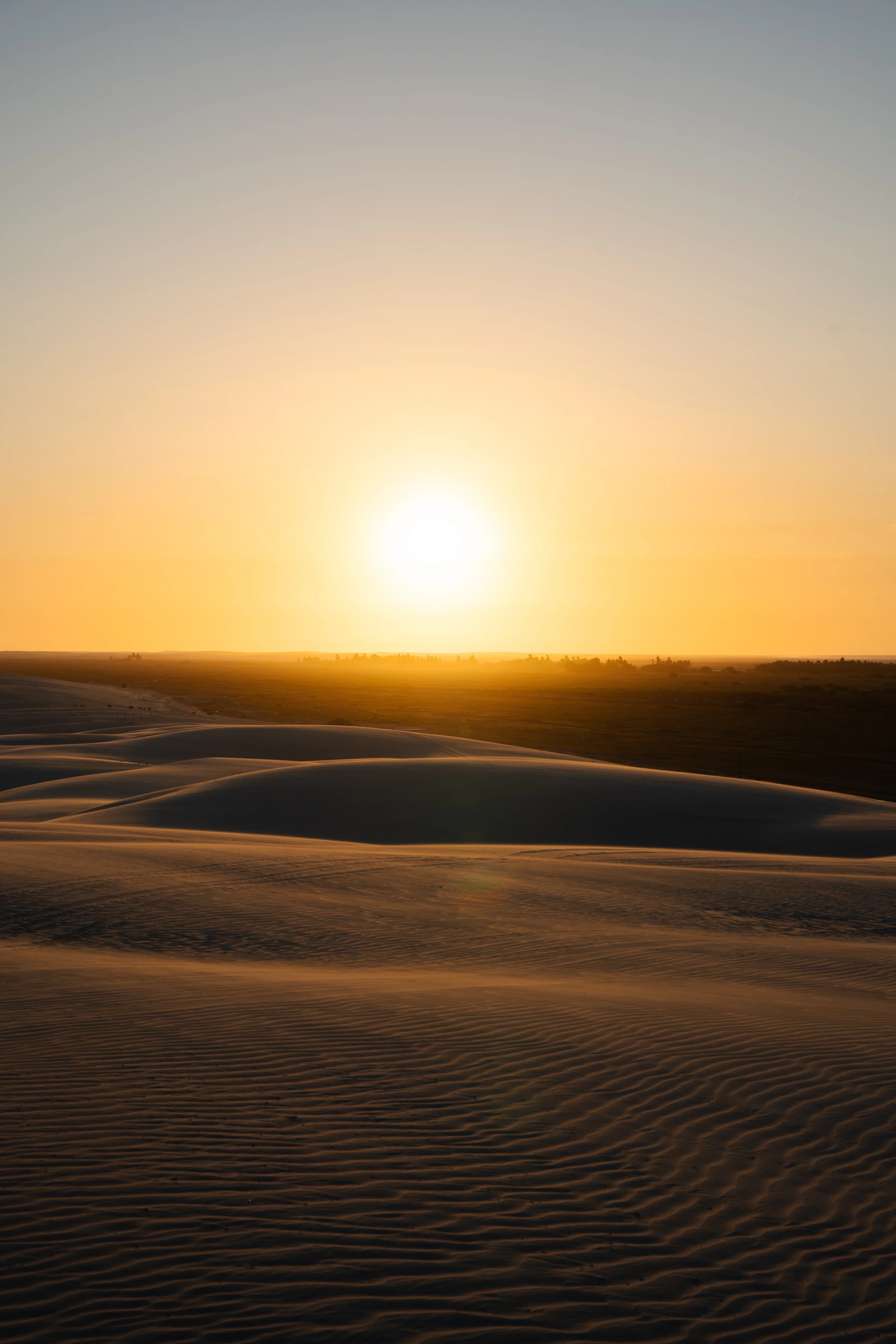 Lencois Maranhenses gallery image 18 of 93