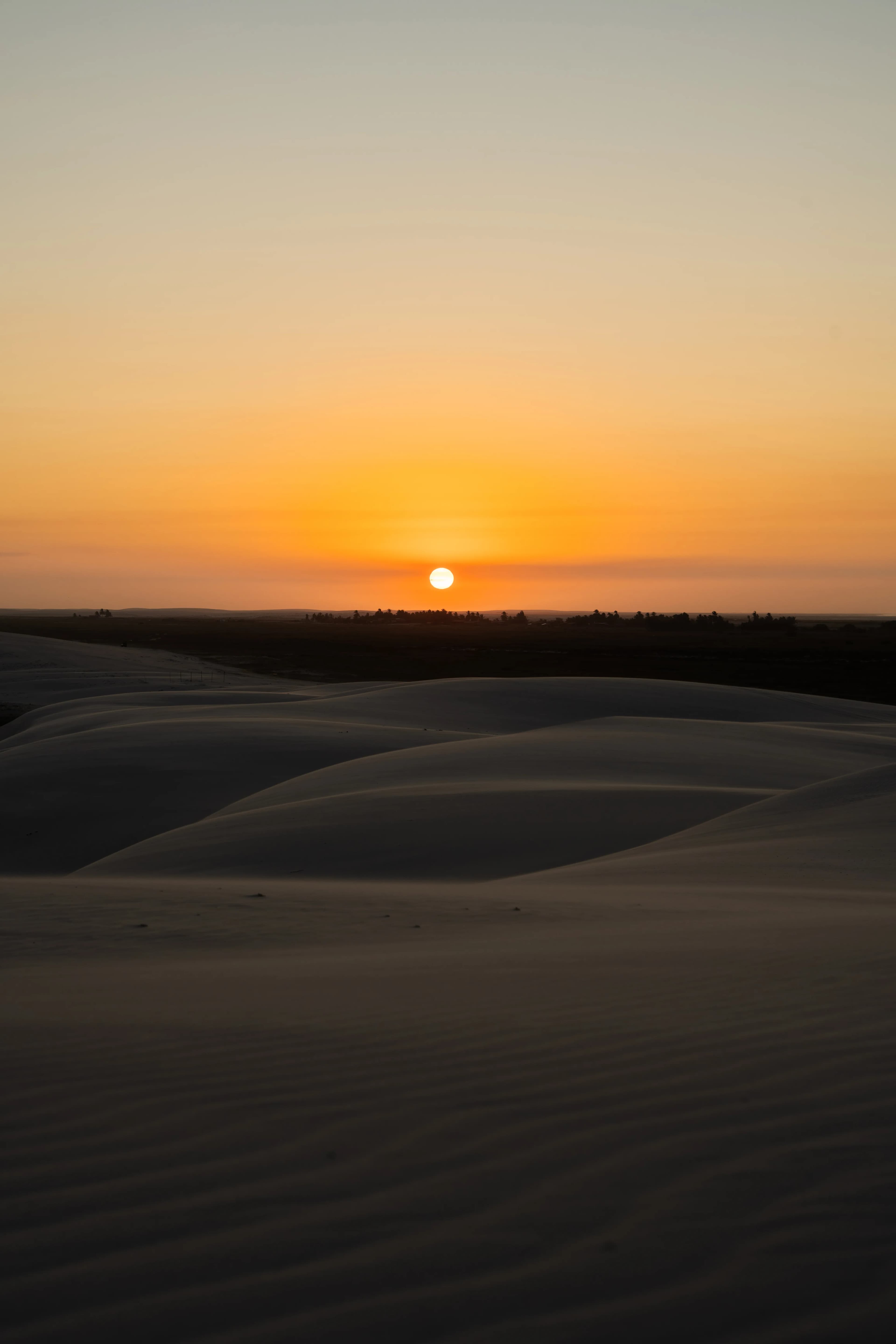 Lencois Maranhenses gallery image 28 of 93