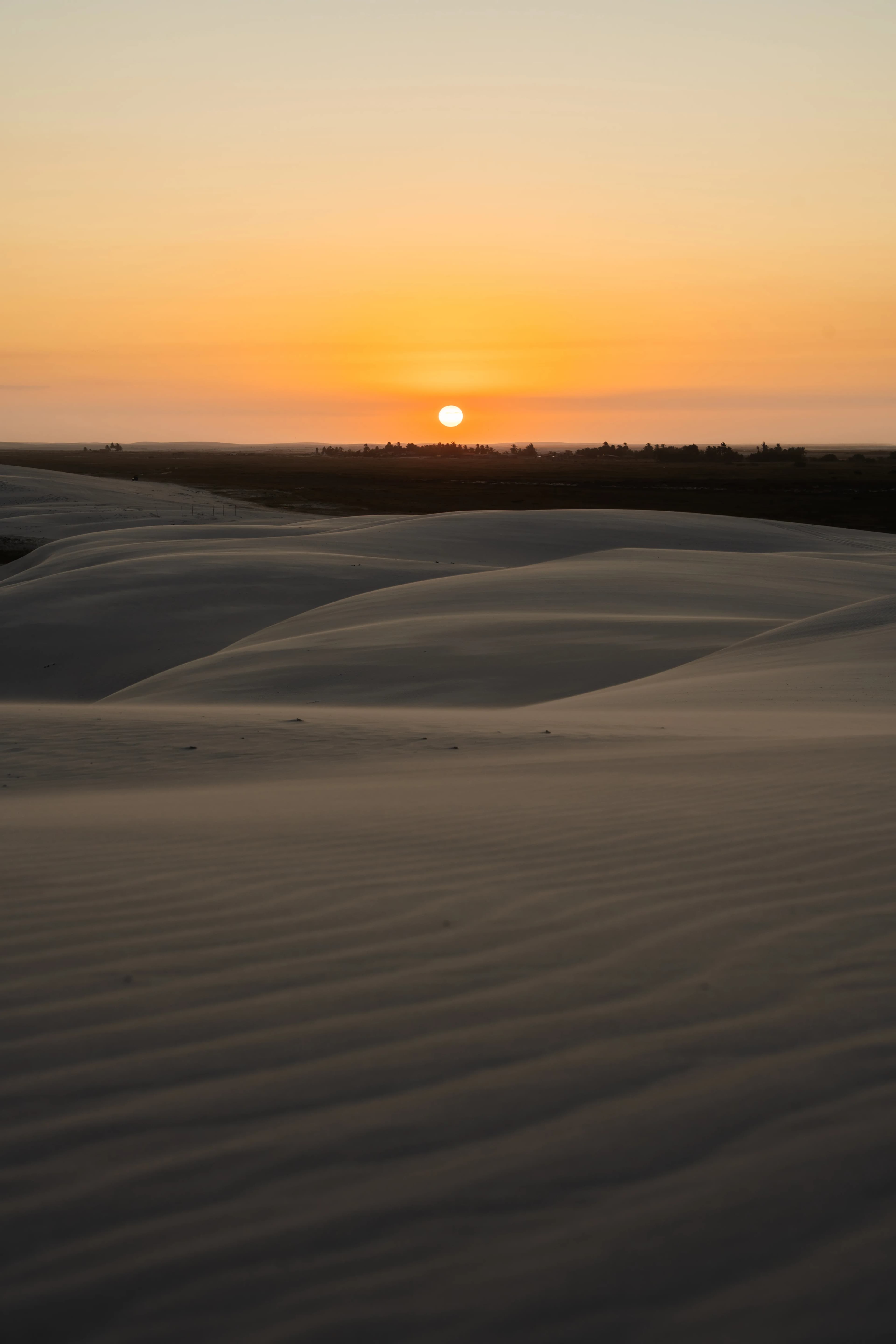 Lencois Maranhenses gallery image 29 of 93