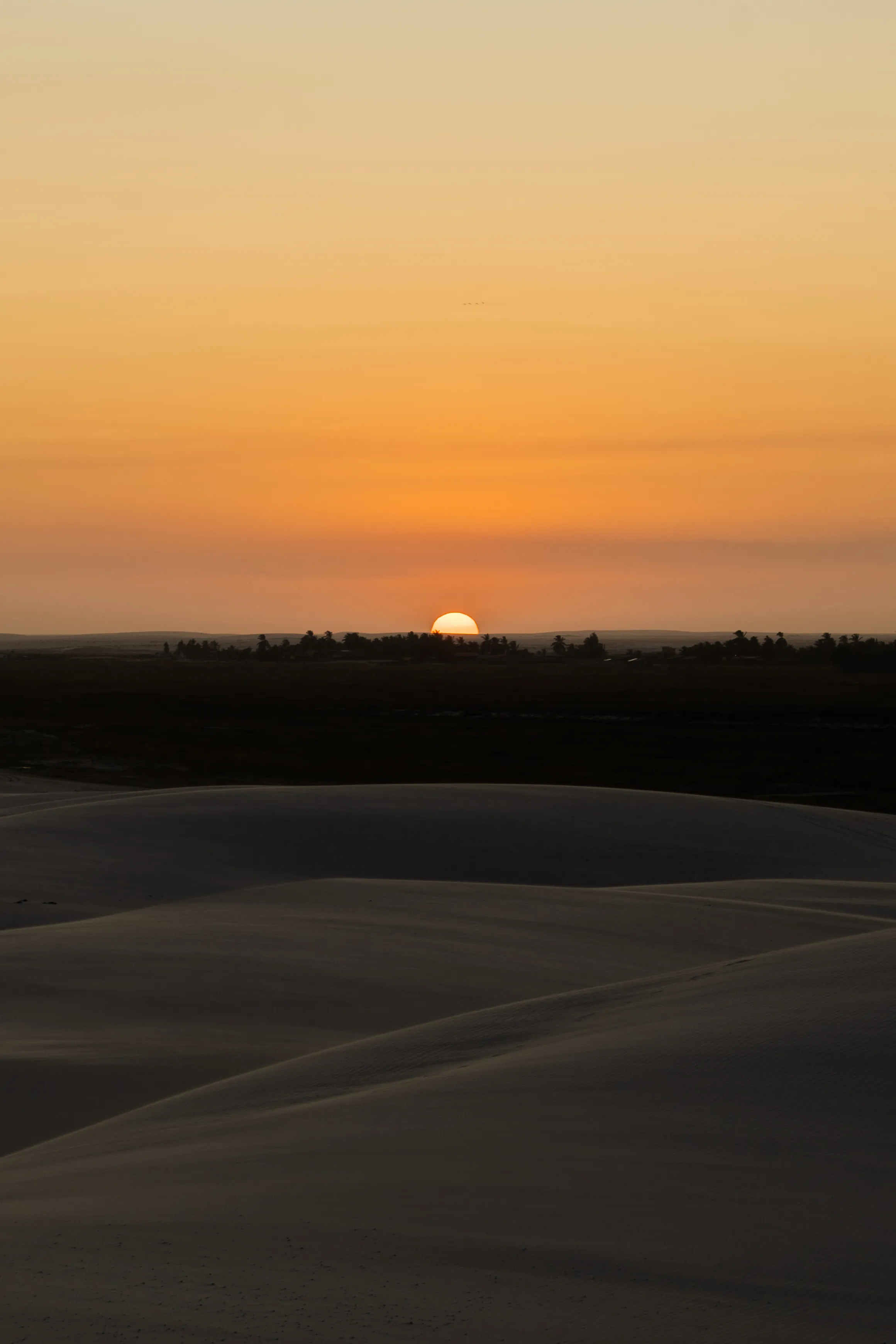 Lencois Maranhenses gallery image 31 of 93