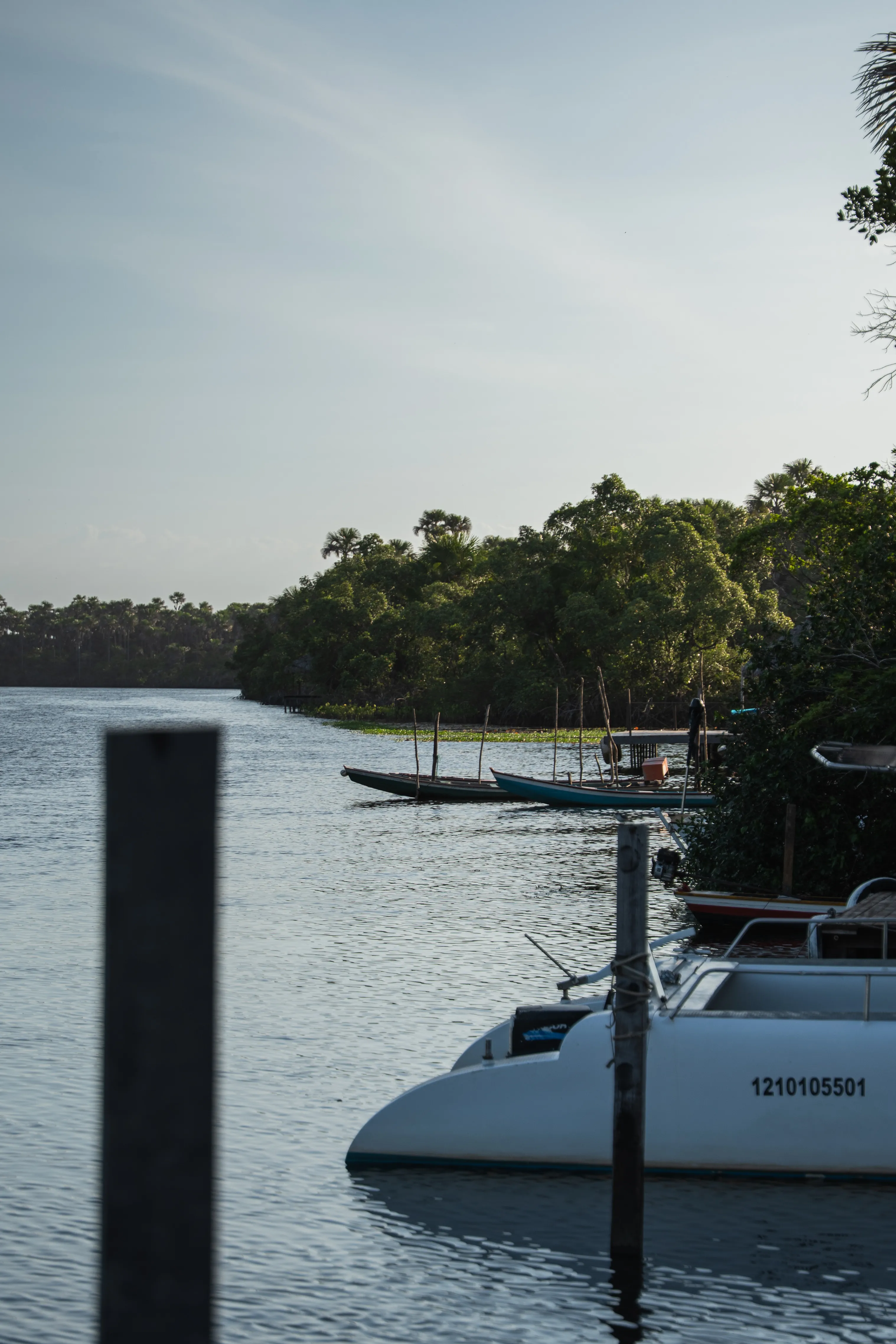 Lencois Maranhenses gallery image 47 of 93