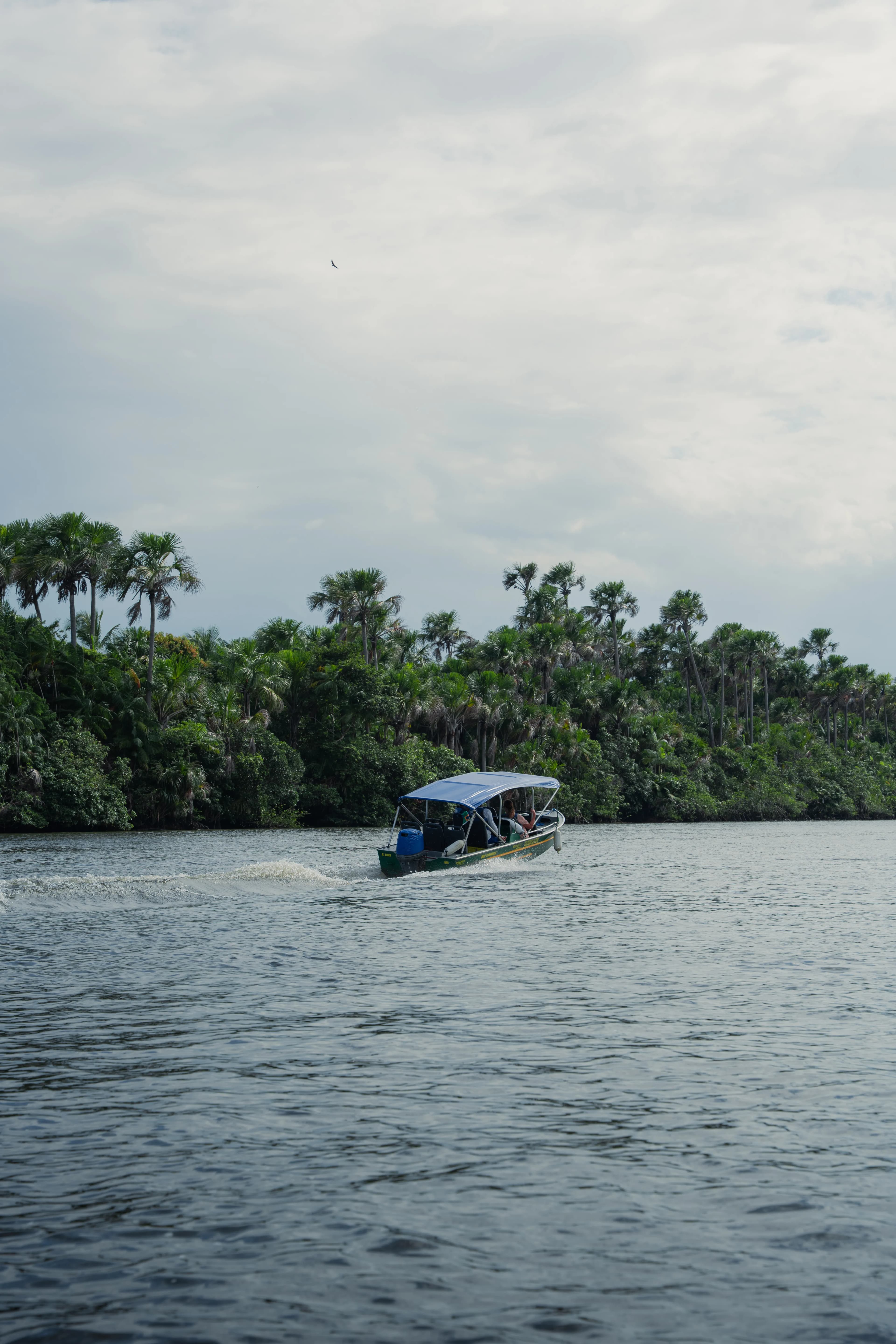 Lencois Maranhenses gallery image 82 of 93