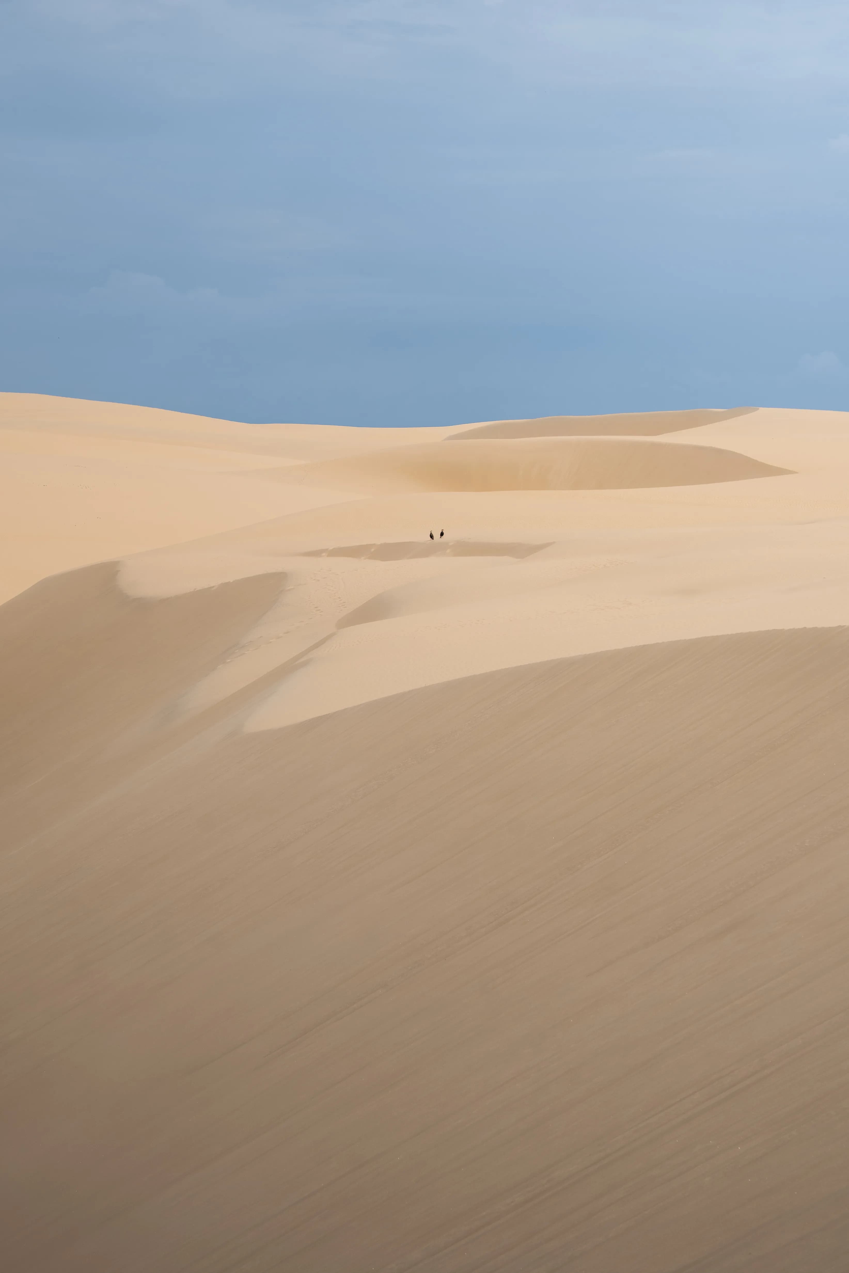 Lencois Maranhenses gallery image 83 of 93
