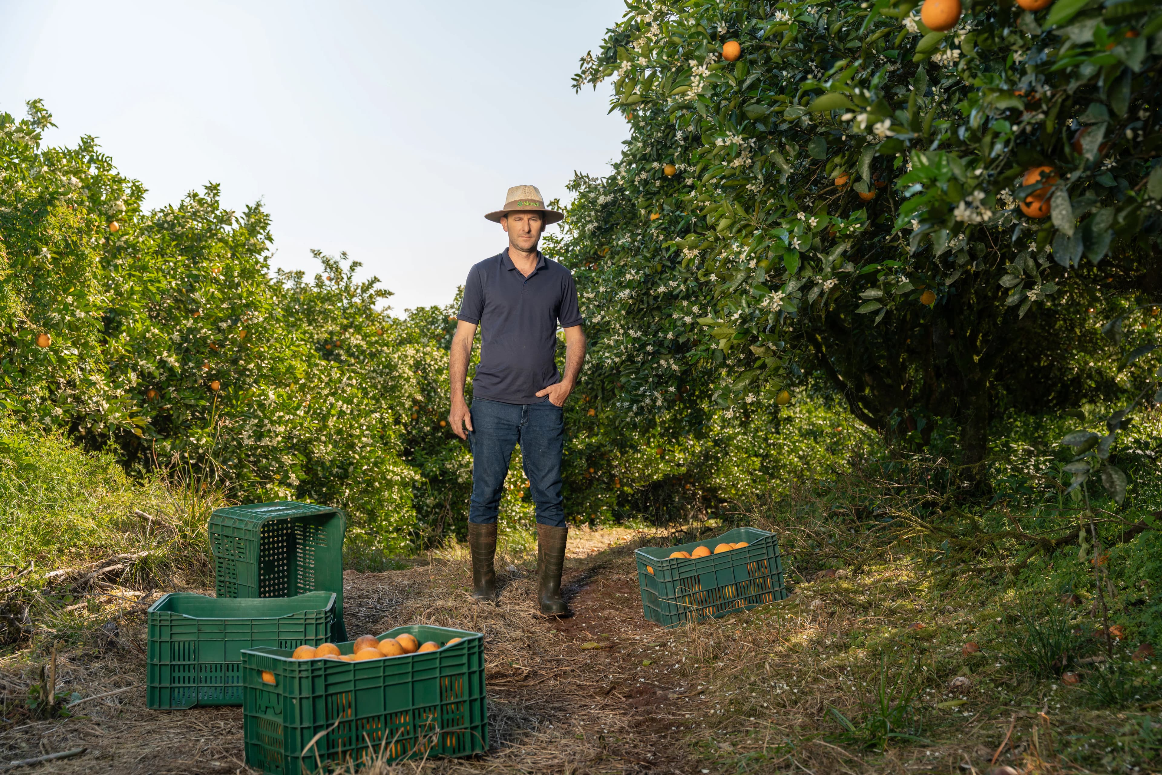 Sicredi Brand Portraits gallery image 12 of 45