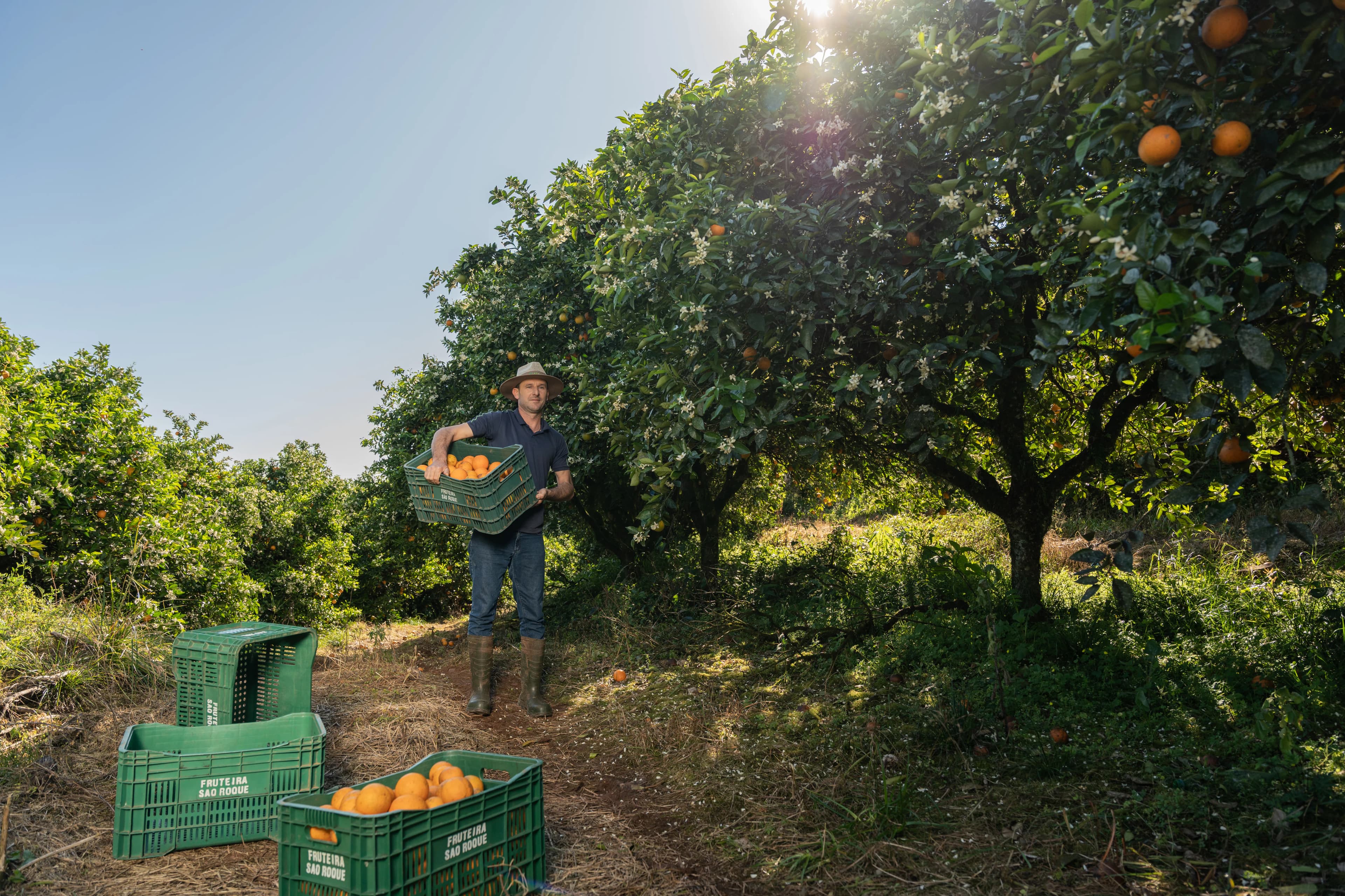 Sicredi Brand Portraits gallery image 13 of 45