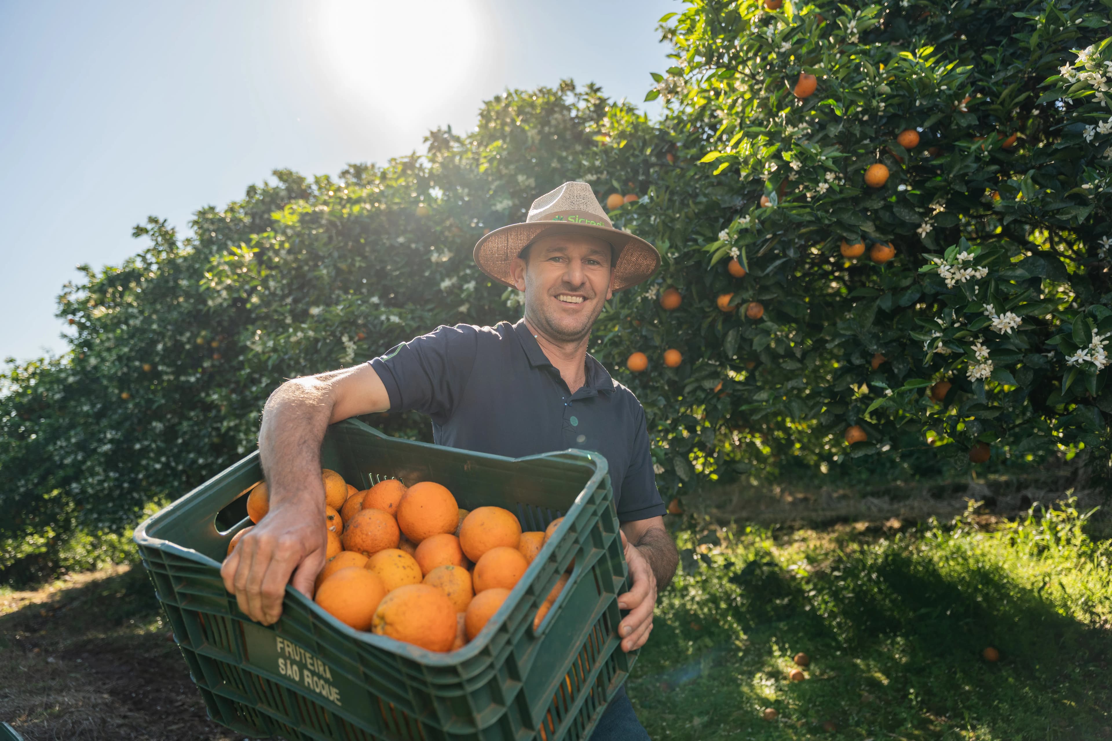 Sicredi Brand Portraits gallery image 14 of 45