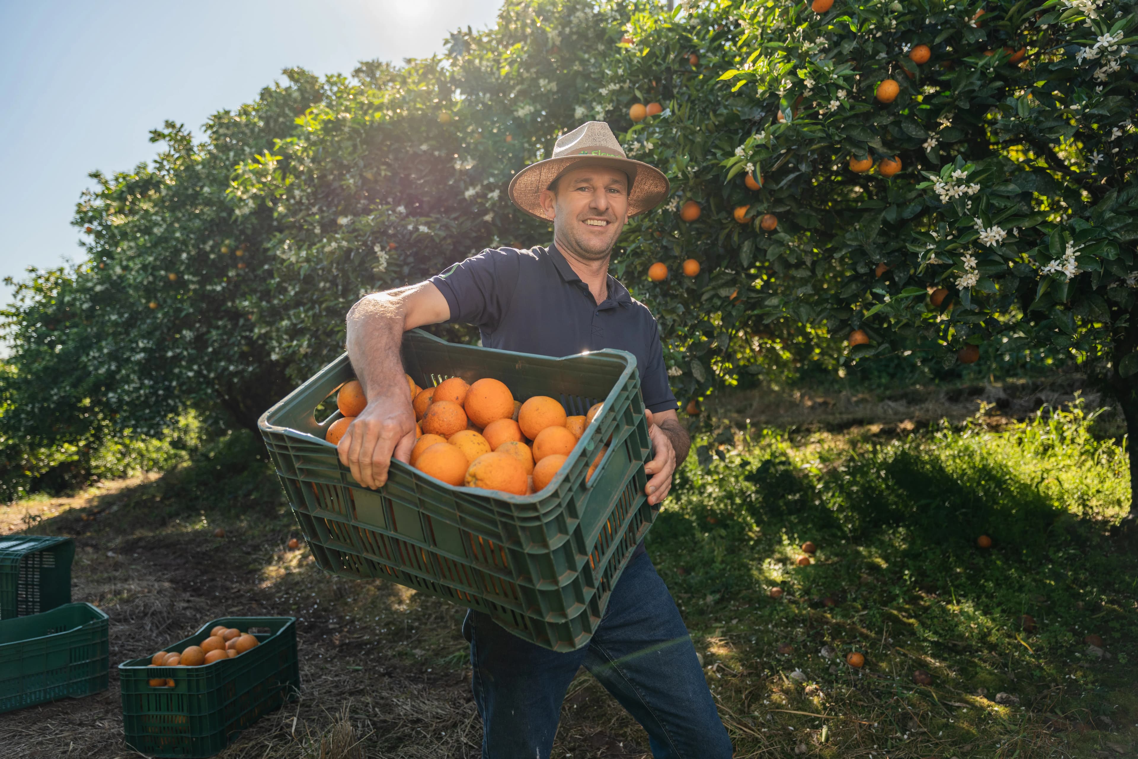 Sicredi Brand Portraits gallery image 15 of 45