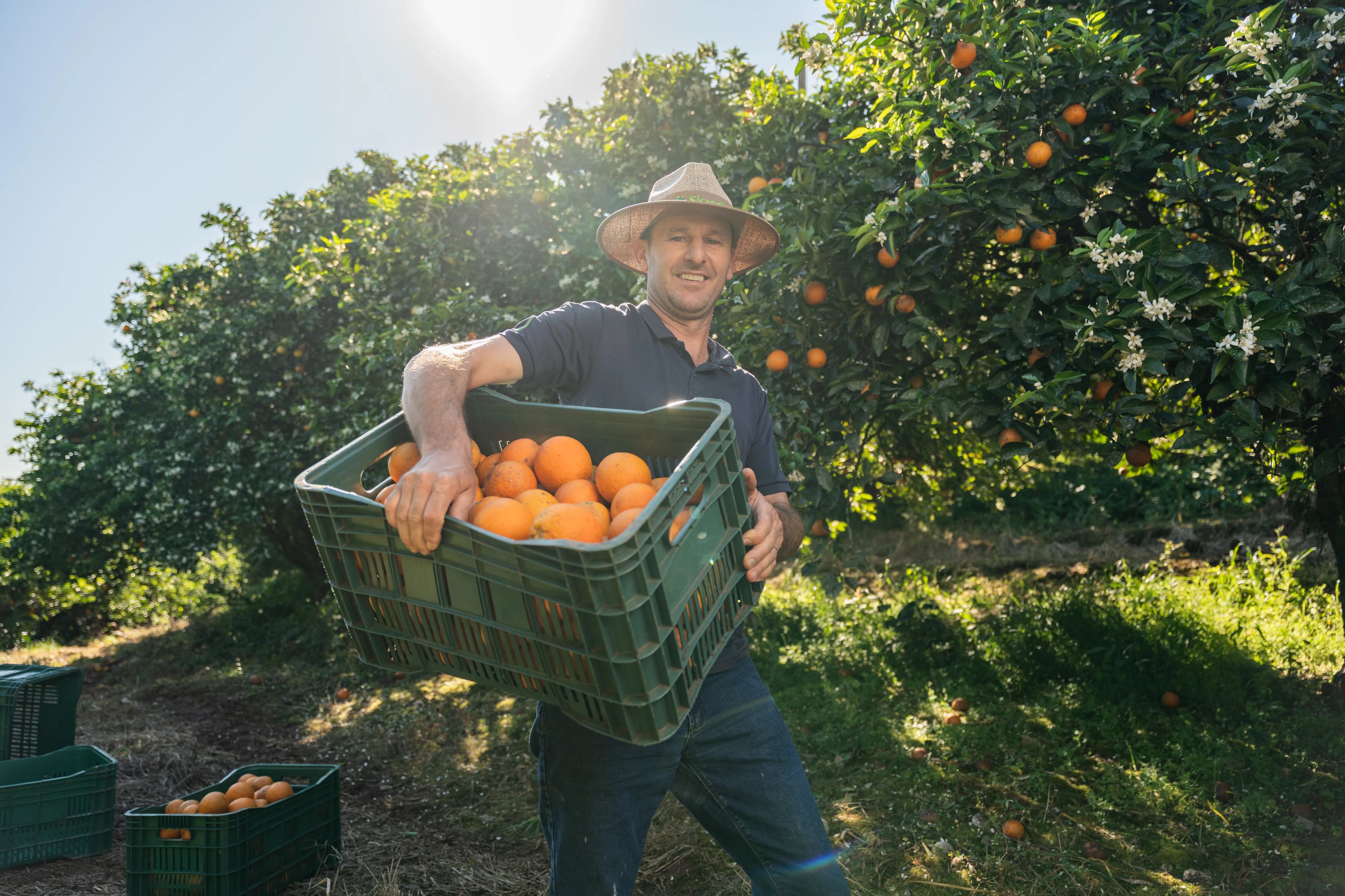 Sicredi Brand Portraits gallery image 16 of 45