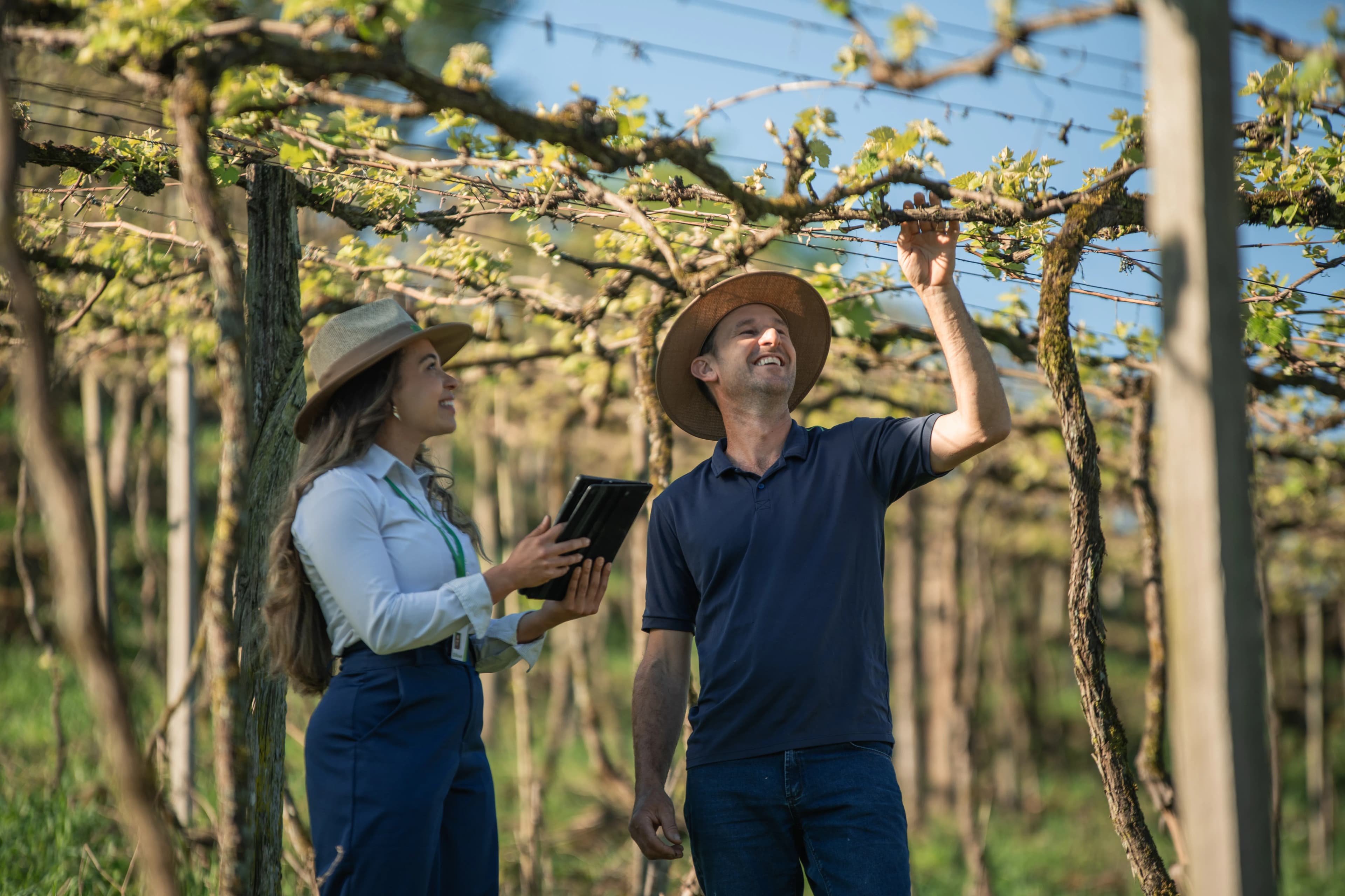 Sicredi Brand Portraits gallery image 25 of 45