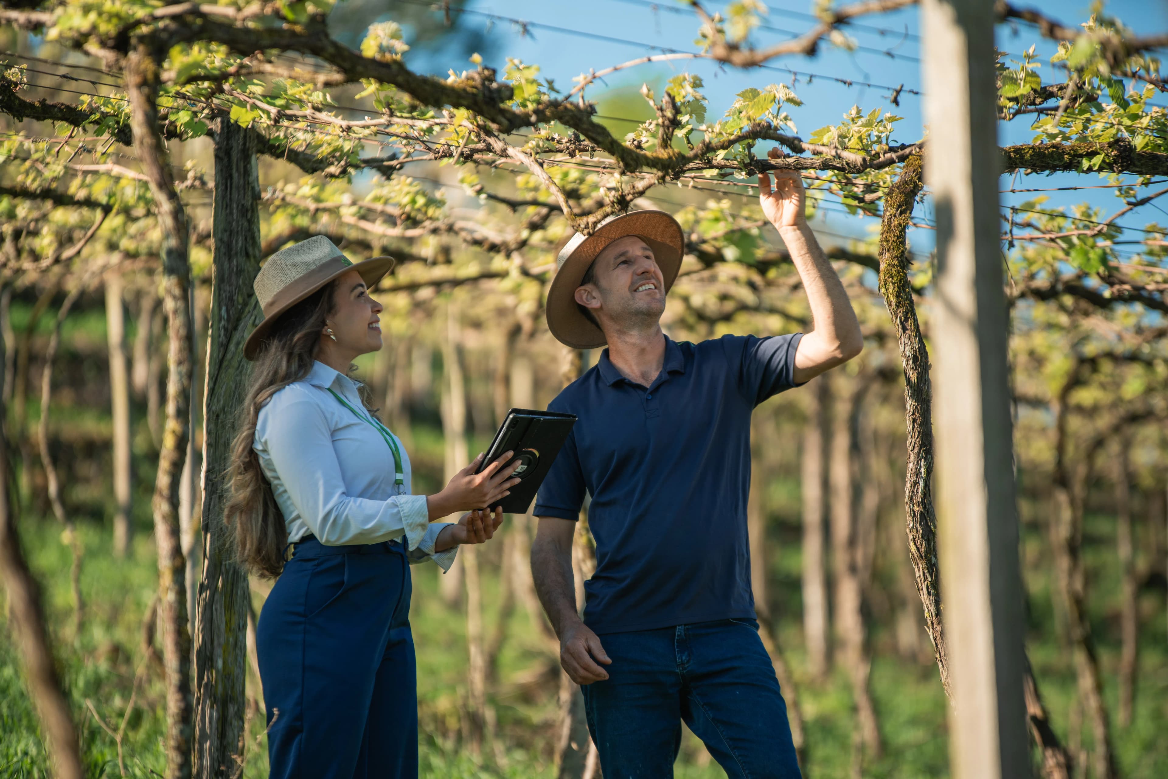 Sicredi Brand Portraits gallery image 26 of 45