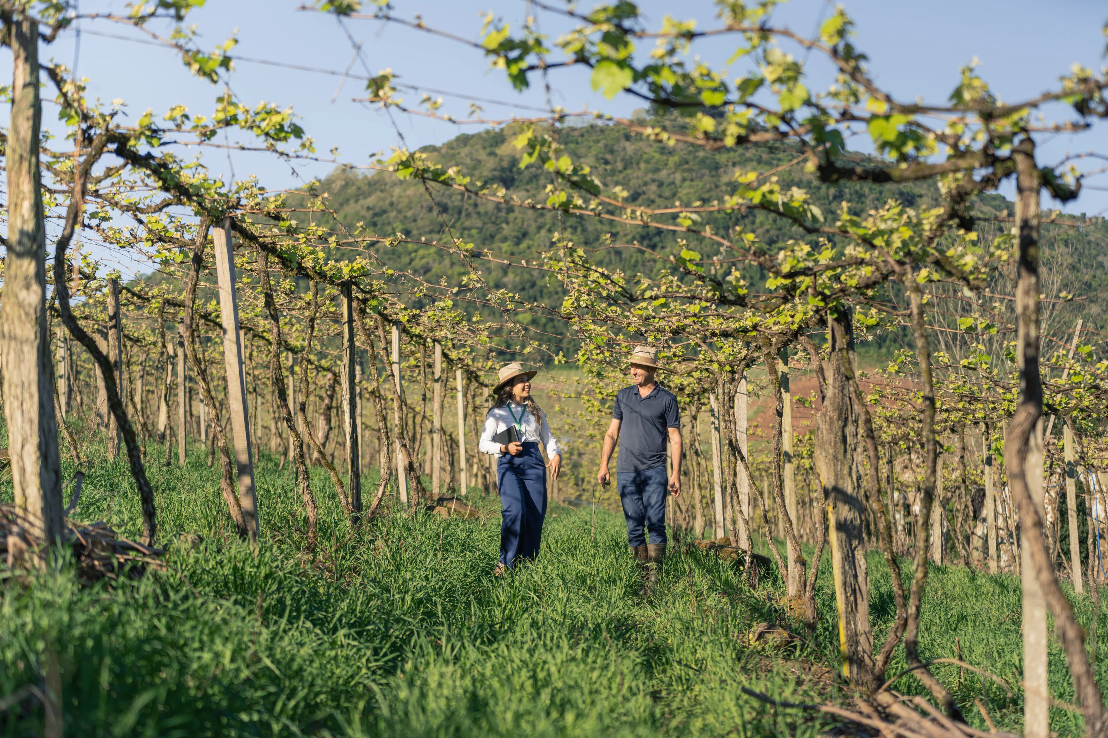 Sicredi Brand Portraits gallery image 28 of 45