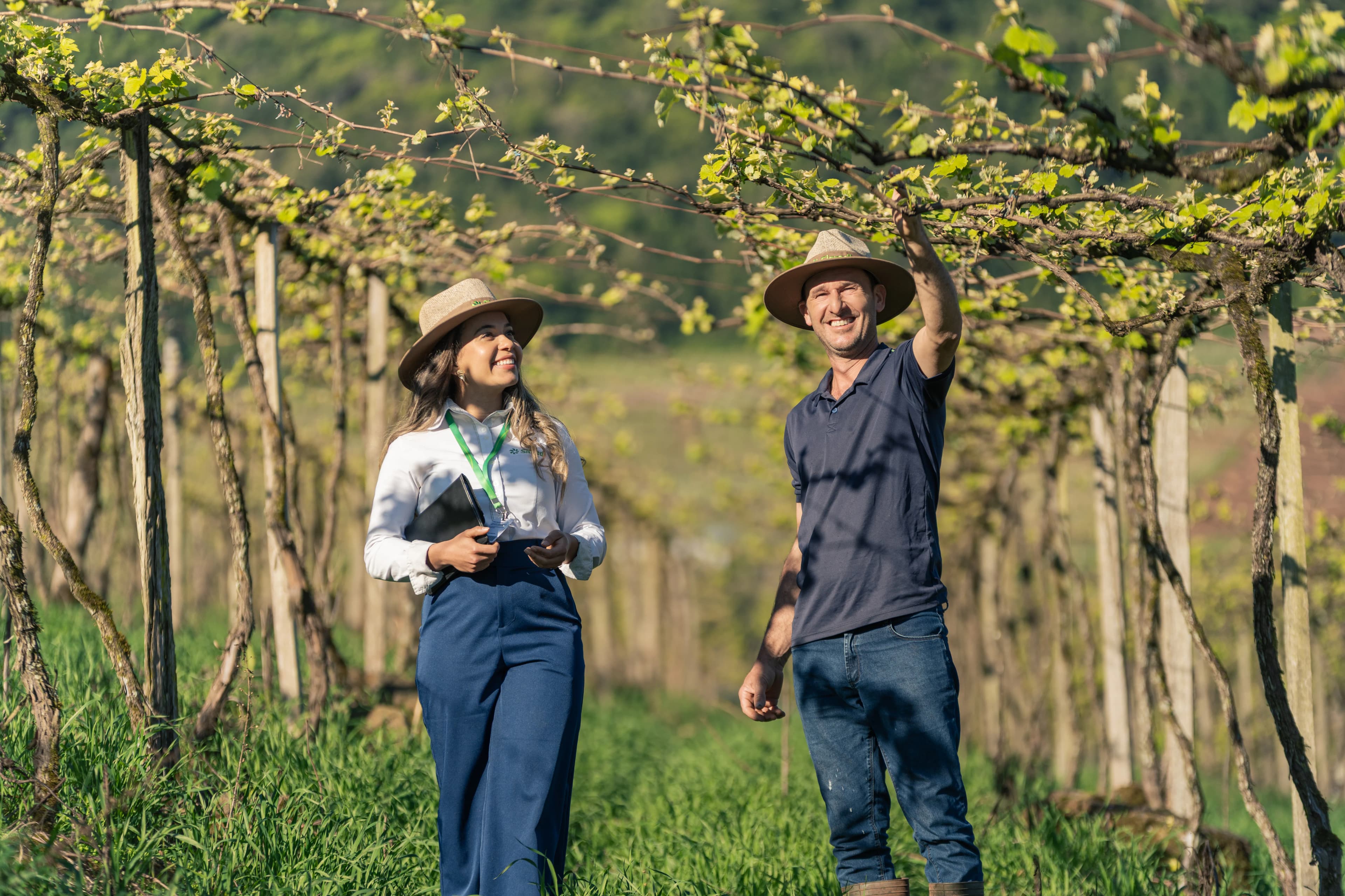 Sicredi Brand Portraits gallery image 29 of 45