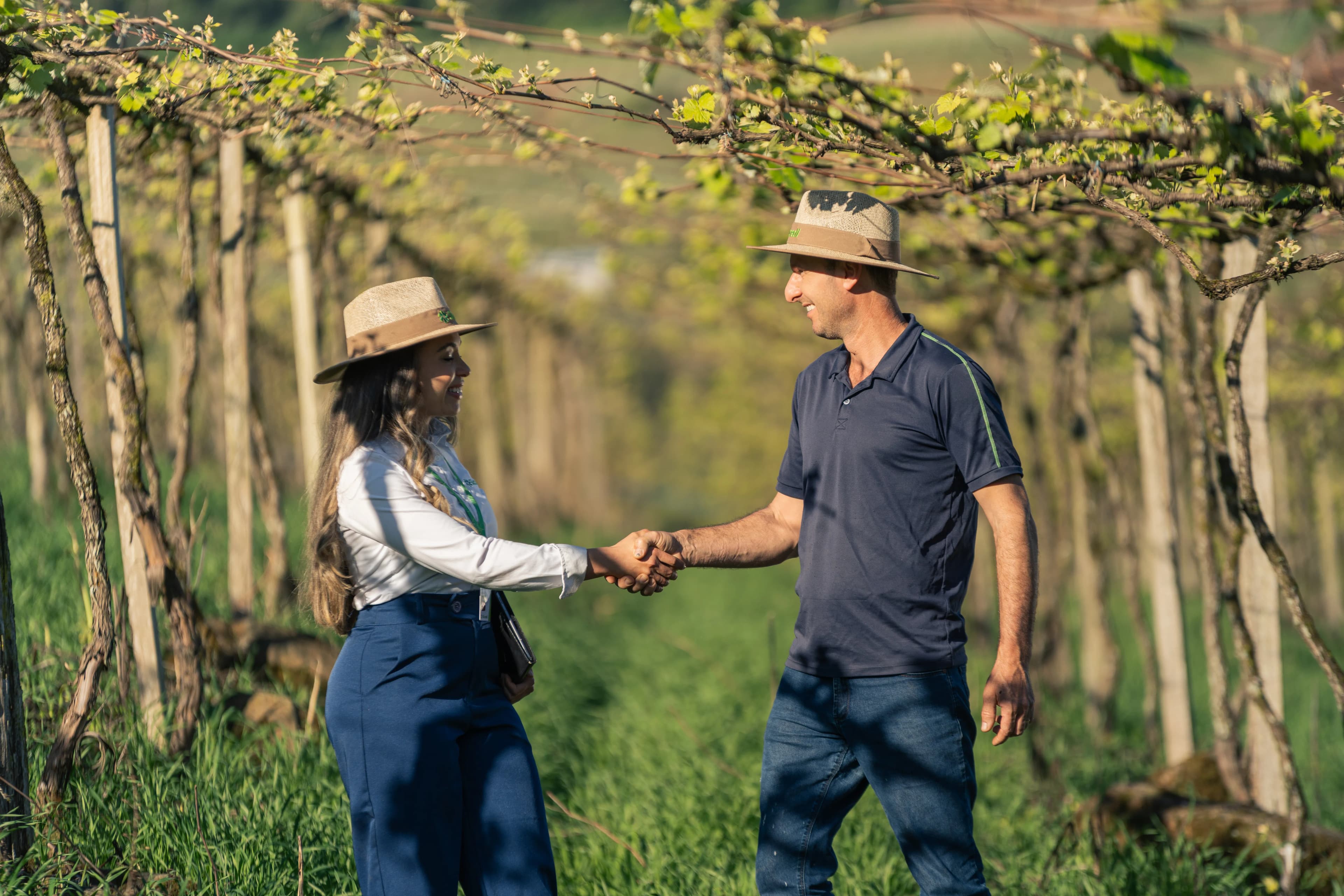 Sicredi Brand Portraits gallery image 30 of 45